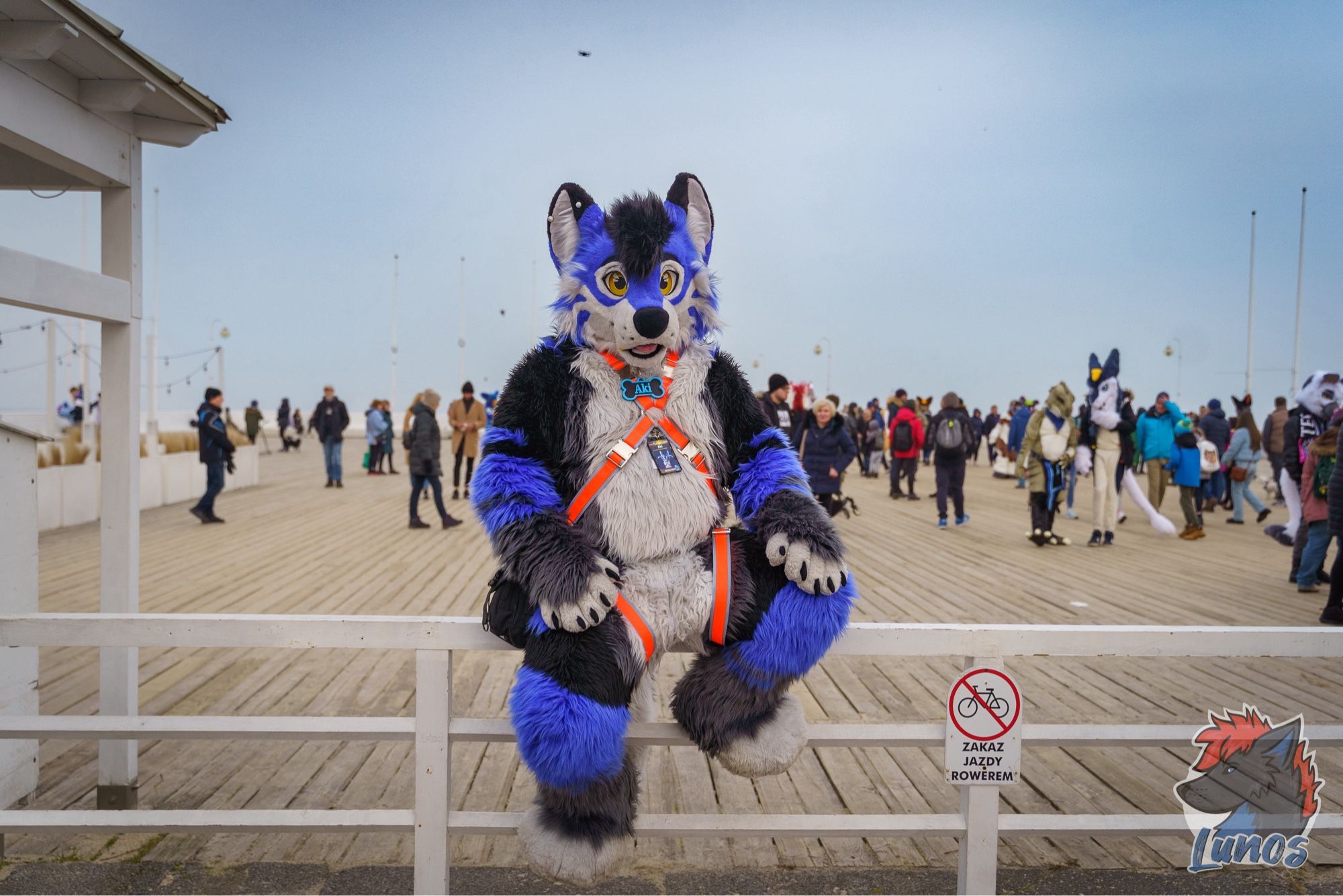 Husky enjoying the view at the Pier during GDAKON Suitwalk