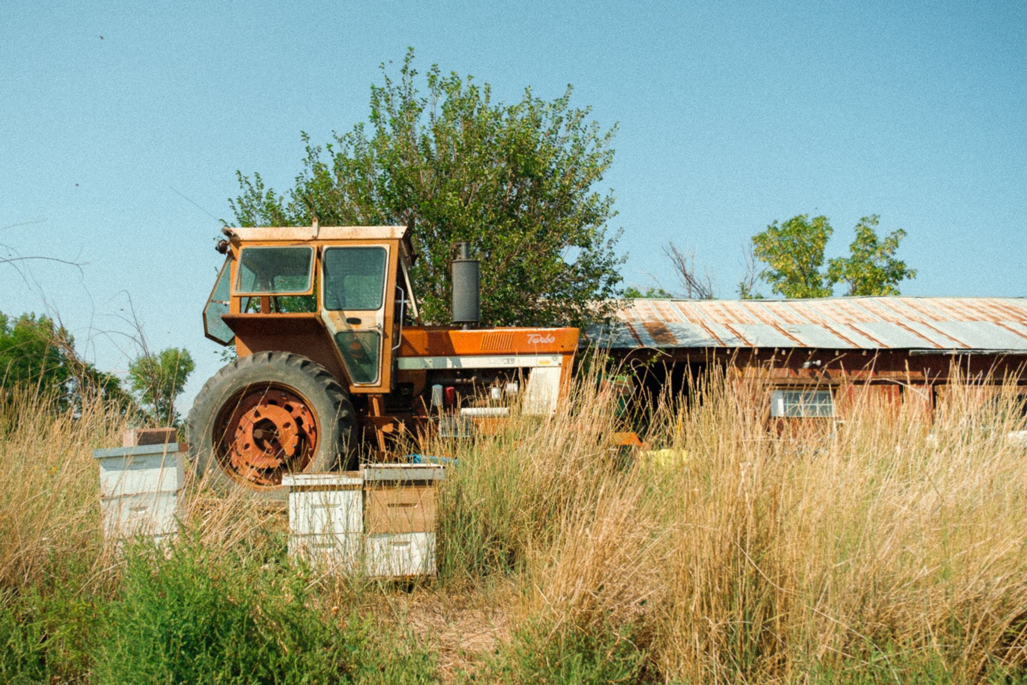 Bee crates sit in the grass in front of a tractor in front of a barn.