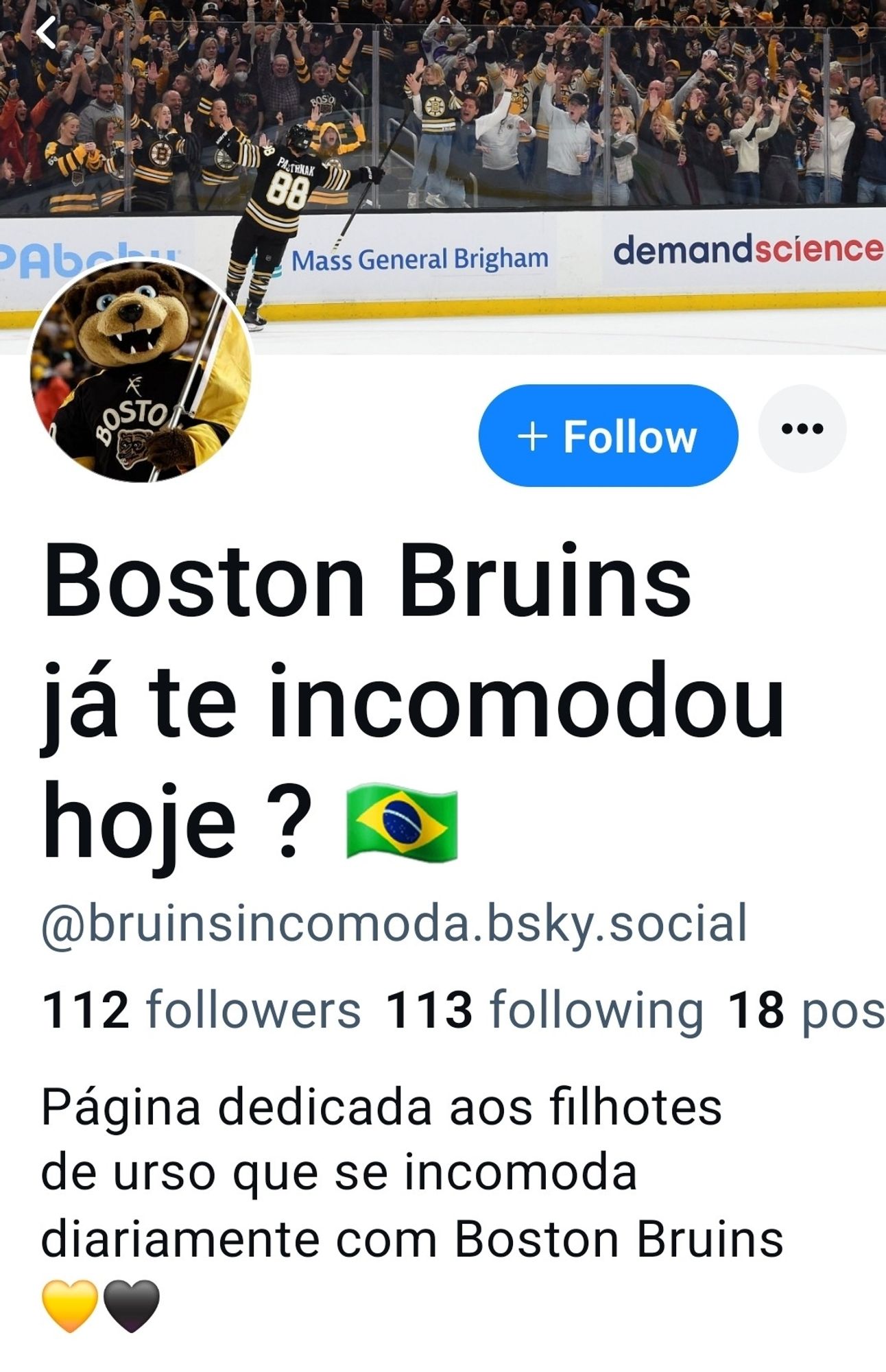 A screen shot of the Portuguese Boston Bruins fan account @bruinsincomoda.bsky.social