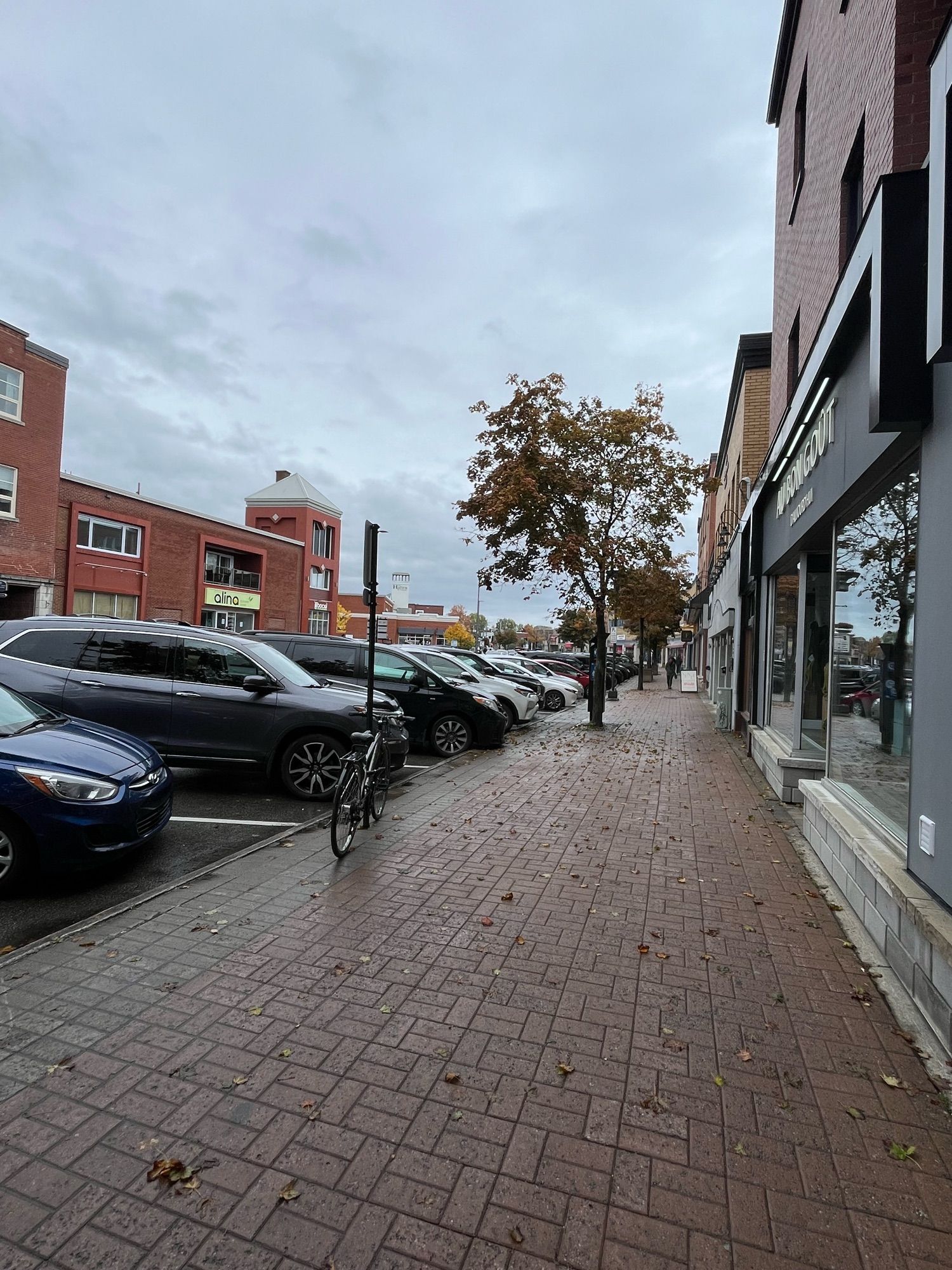 A main commercial street with brick buildings on both sides with shops and a paved sidewalk with a tree, with rows of cars parked along the sidewalk