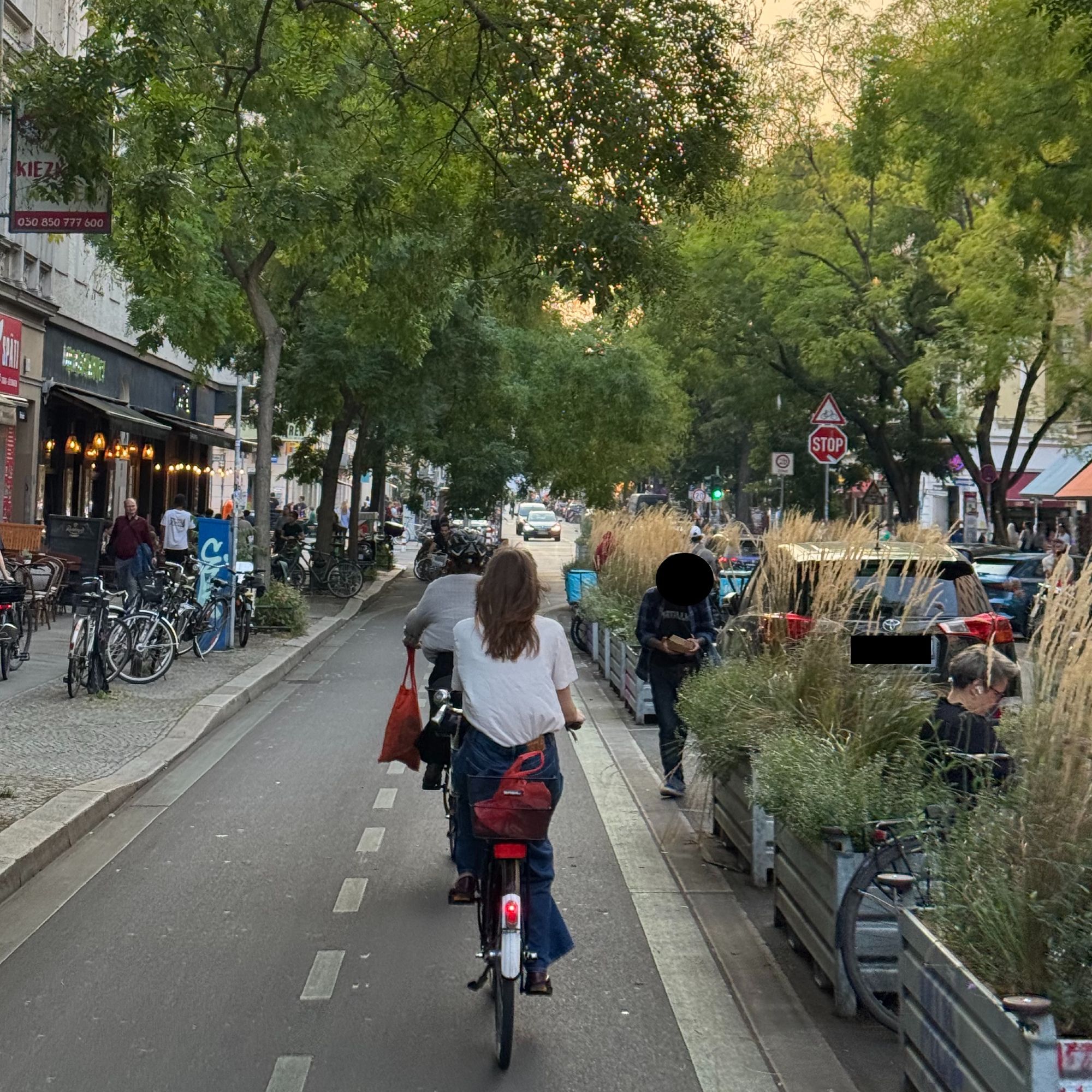 Schöner radweg mit viel grün durch die Bergmannstraße