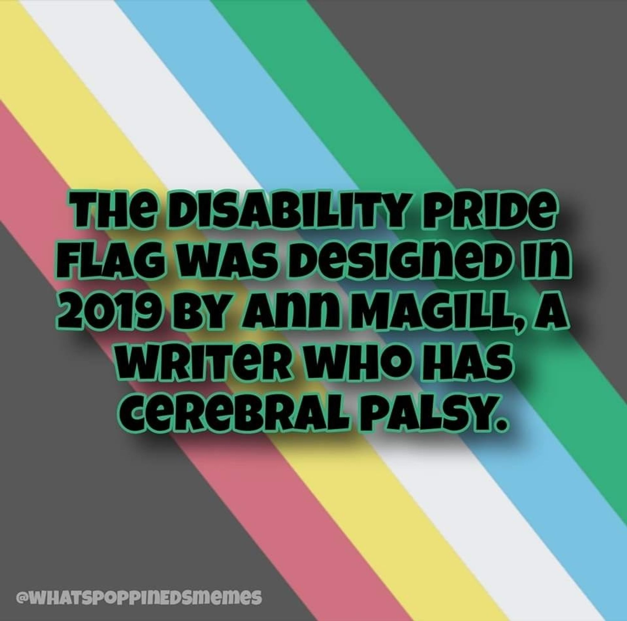 Image four- The Disability Pride flag was designed in 2019 by Ann Magill, a writer who has cerebral palsy.