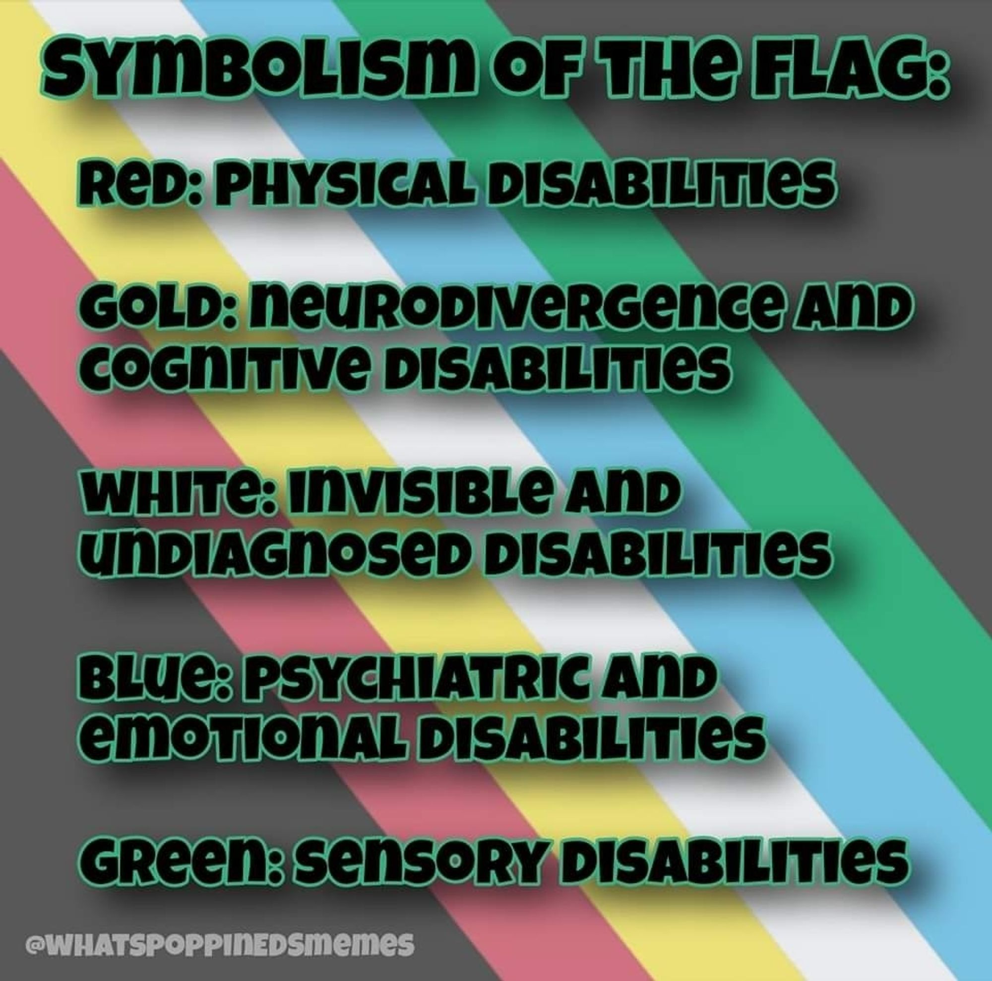 Image five- Symbolism of the flag:
Red: physical disabilities
Gold: neurodivergence and cognitive disabilities
White: invisible and undiagnosed disabilities
Blue: psychiatric and emotional disabilities
Green: sensory disabilities