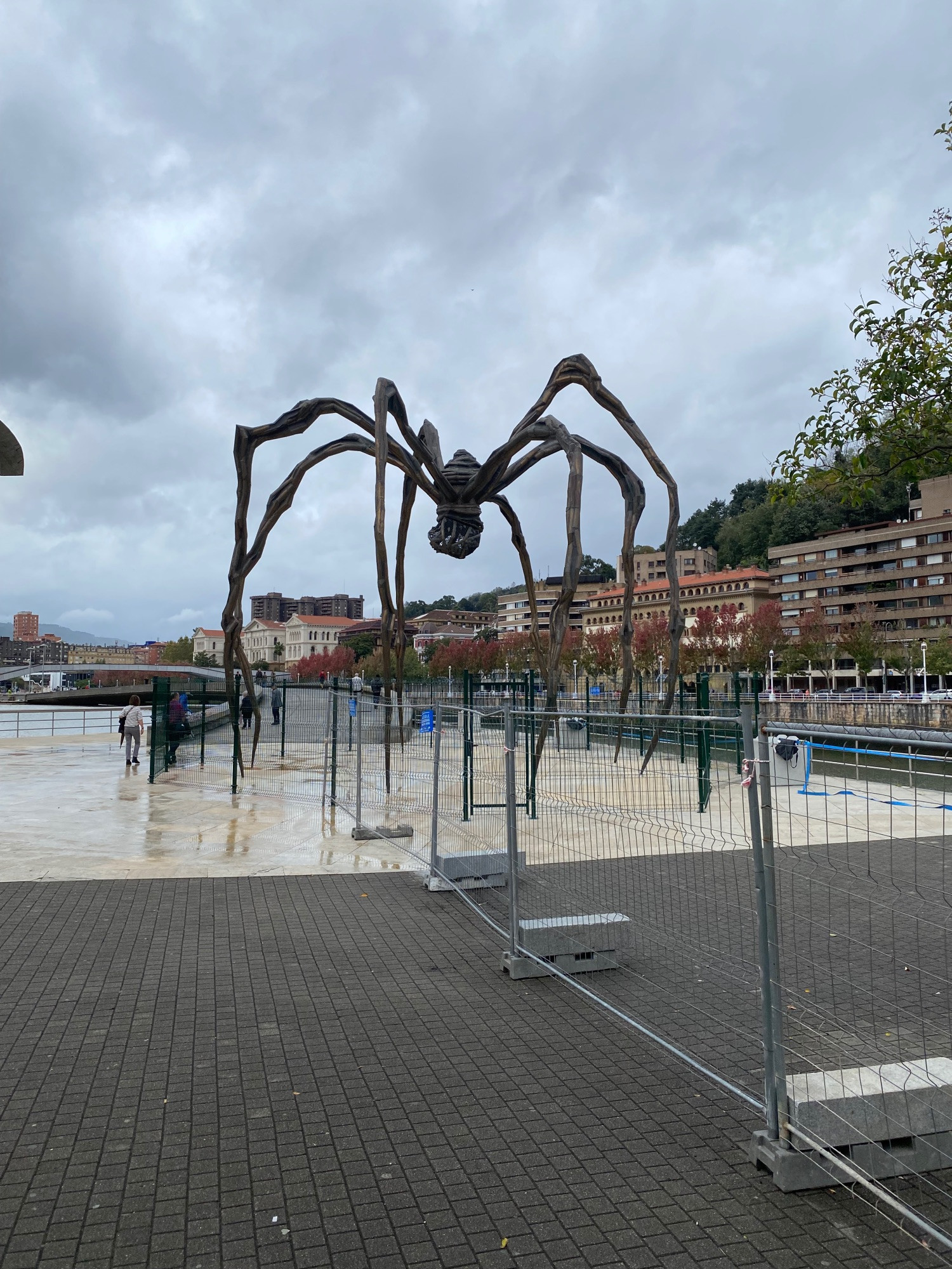 The nearly 9m tall steel spider next to the Guggenheim museum in Bilbao