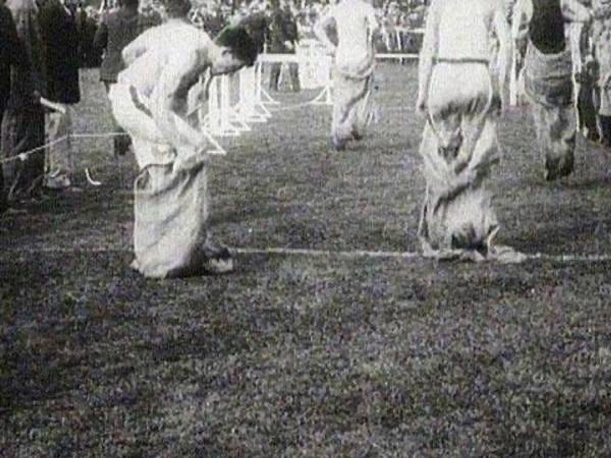 Course en sac en 1904.