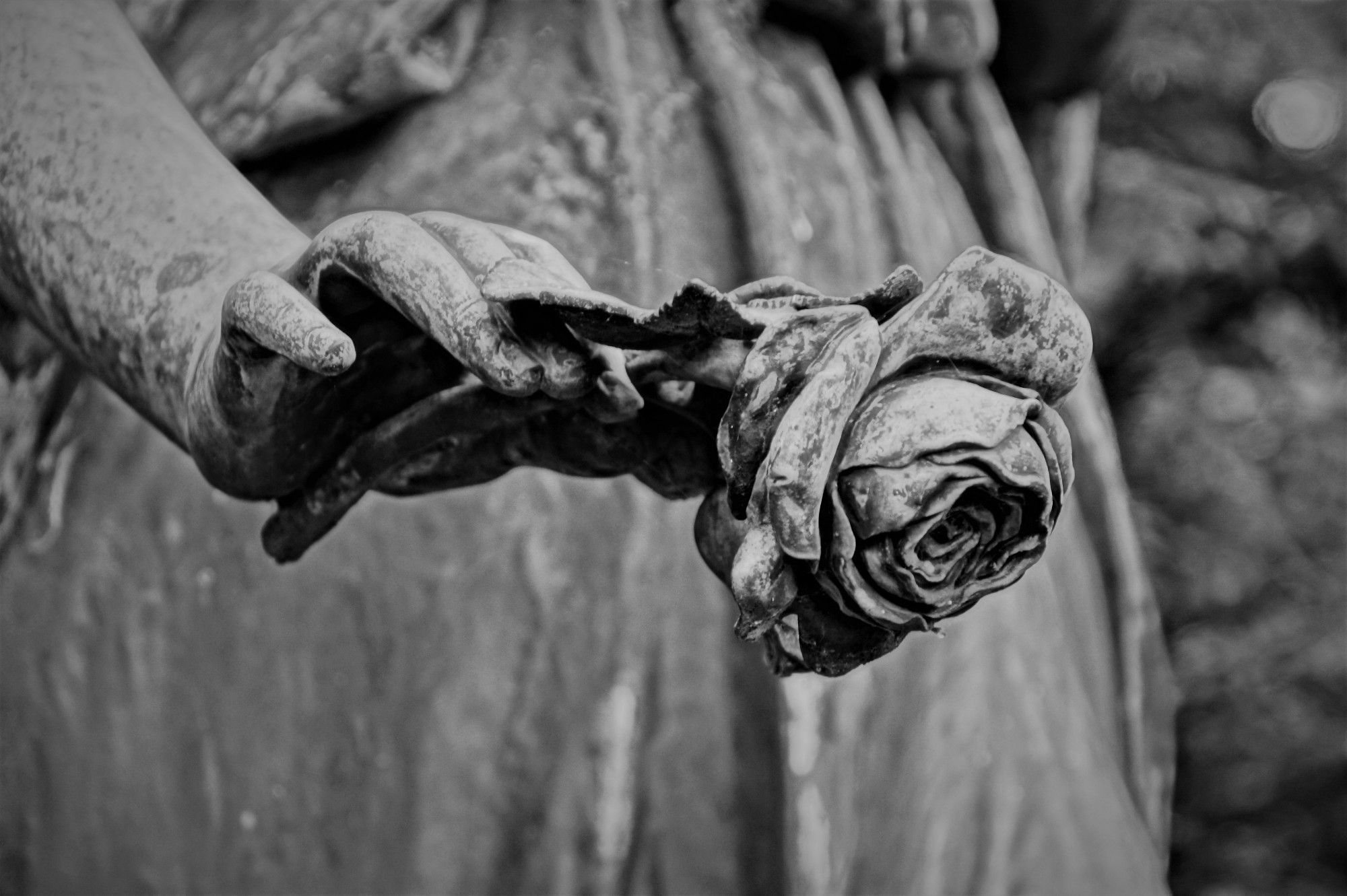 Ausschnitt einer Statue auf einem Grab. Eine zarte Hand hält eine Rose mit hängendem Kopf, vor ihrem Körper. Man sieht angedeutete Falten des Gewandes. Bild in schwarzweiß