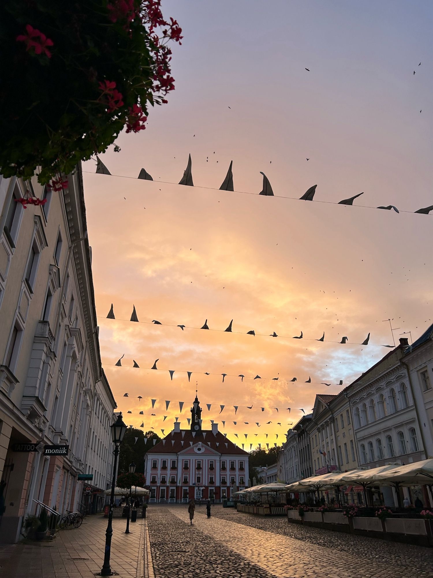 Sonnenuntergang über dem Rathaus von Tartu