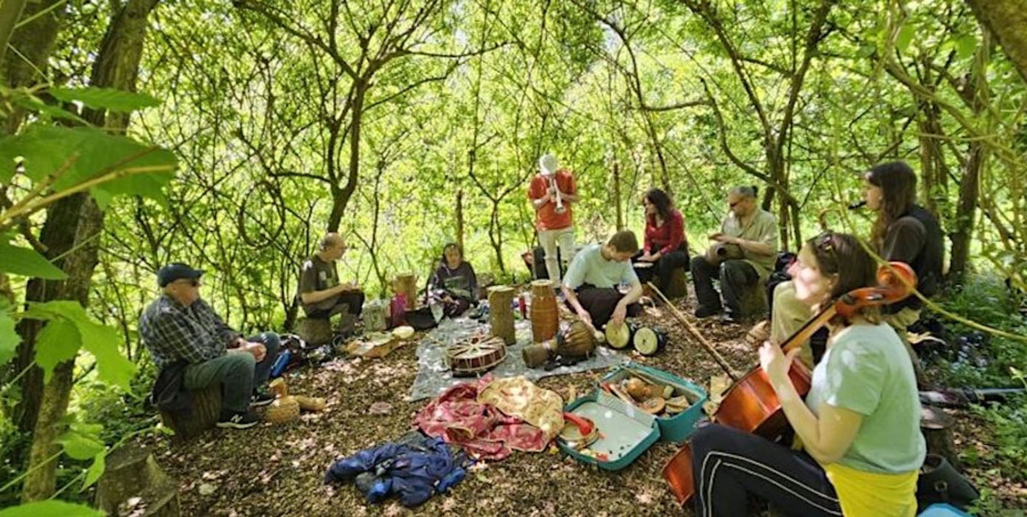 People sitting on ground in woodland playing musical instruments