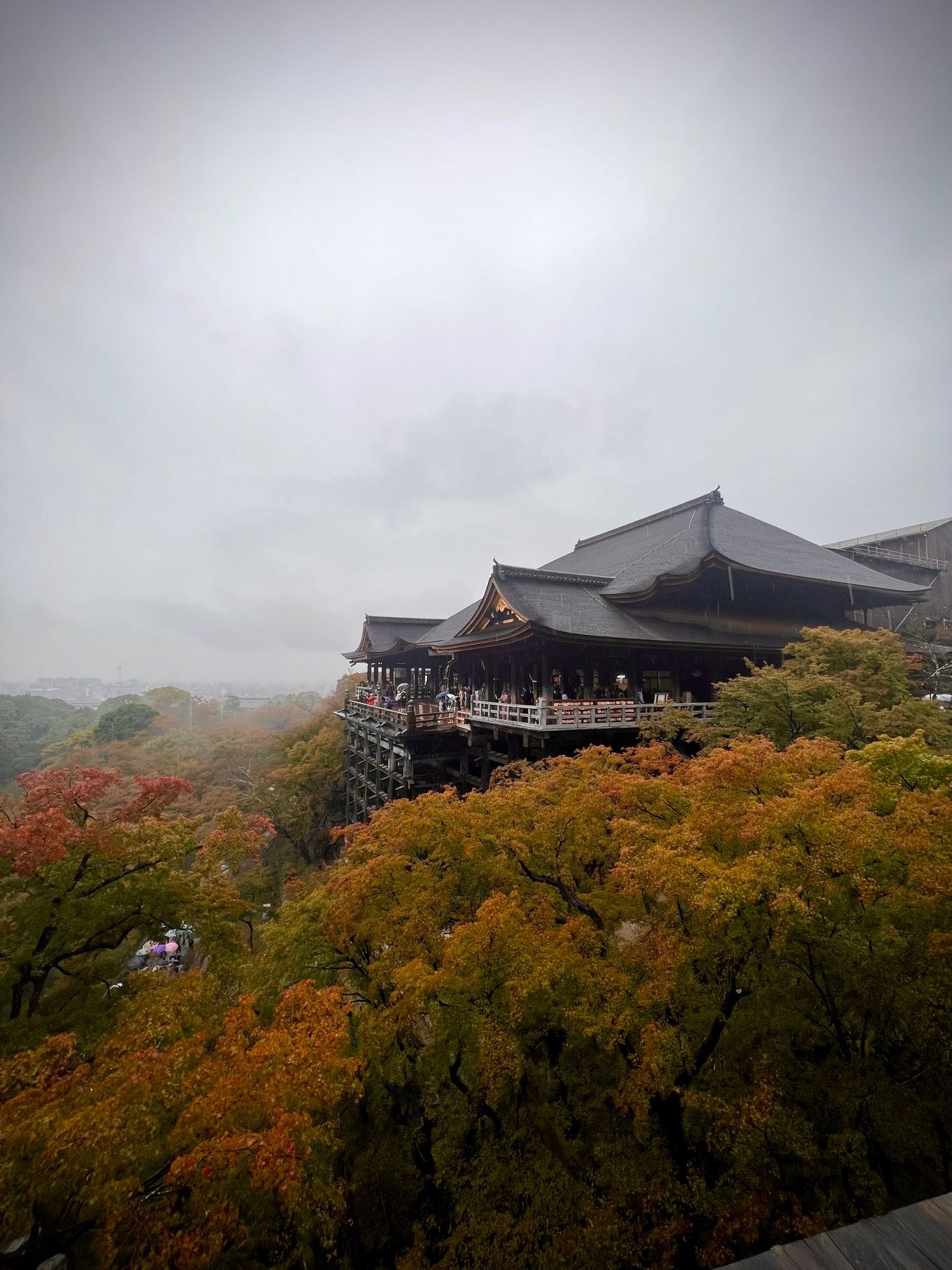 Temple bouddhiste Kiyomizu perdu dans les arbres aux couleurs automnales à Kyoto