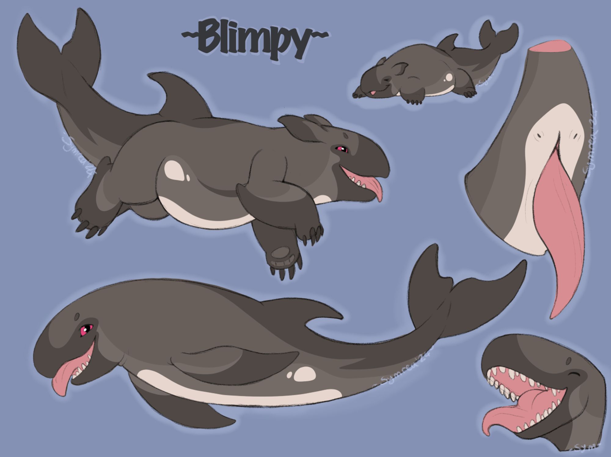 A false killer whale reference sheet.