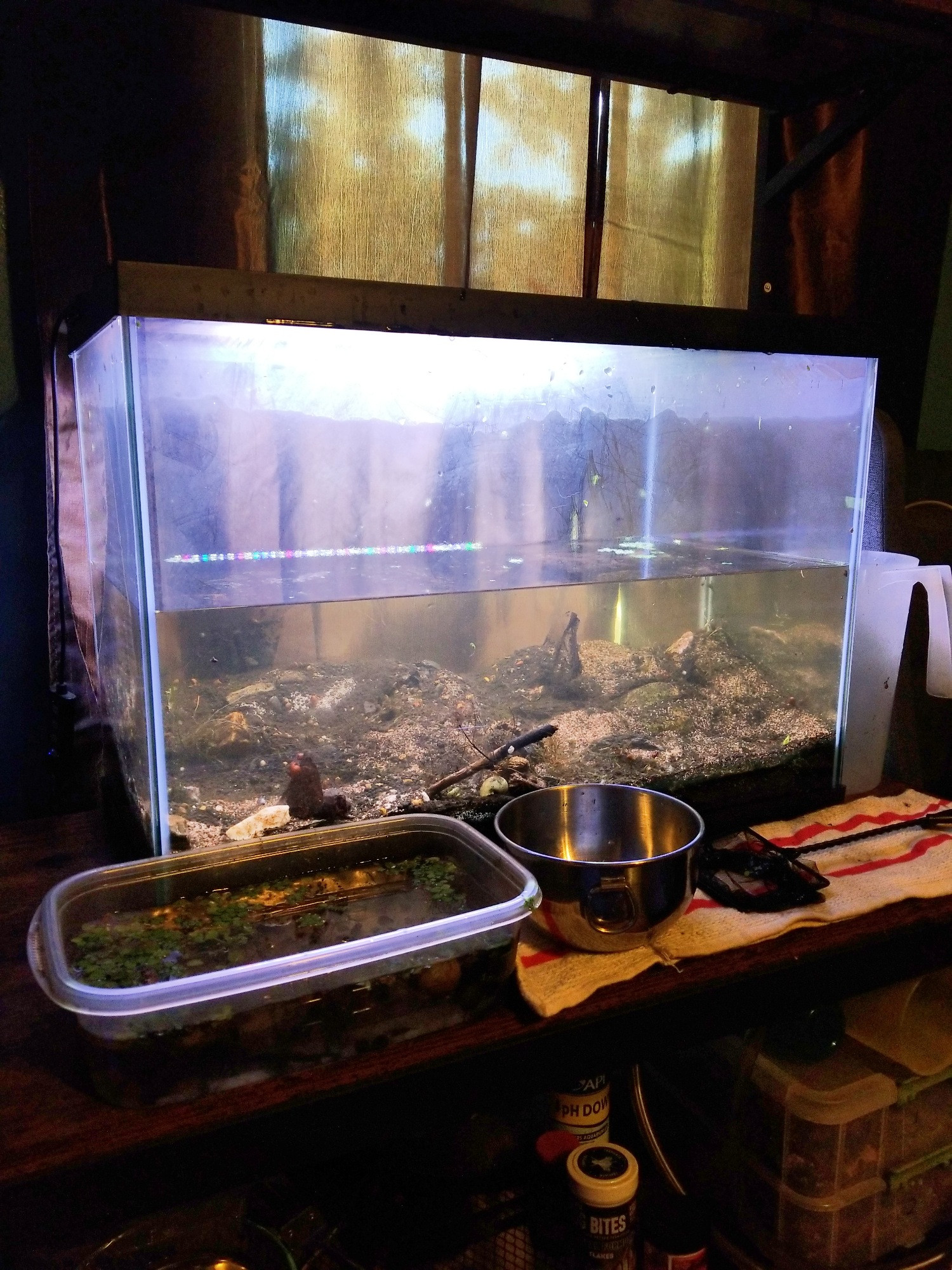 A 20 gallon tank, half drained and bare of all decor aside from sand