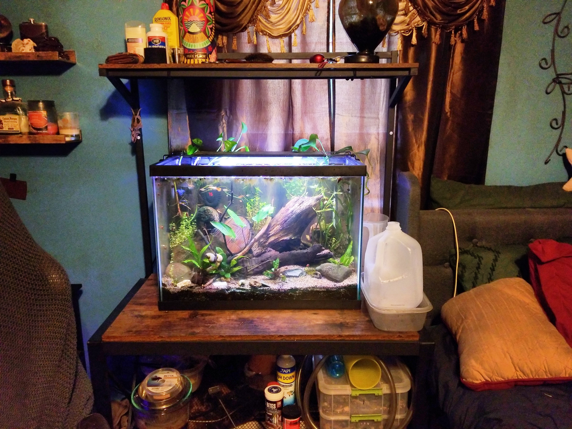 a 20 gallon tank on an aquarium stand, next to a bed. it has large driftwood and is planted heavily