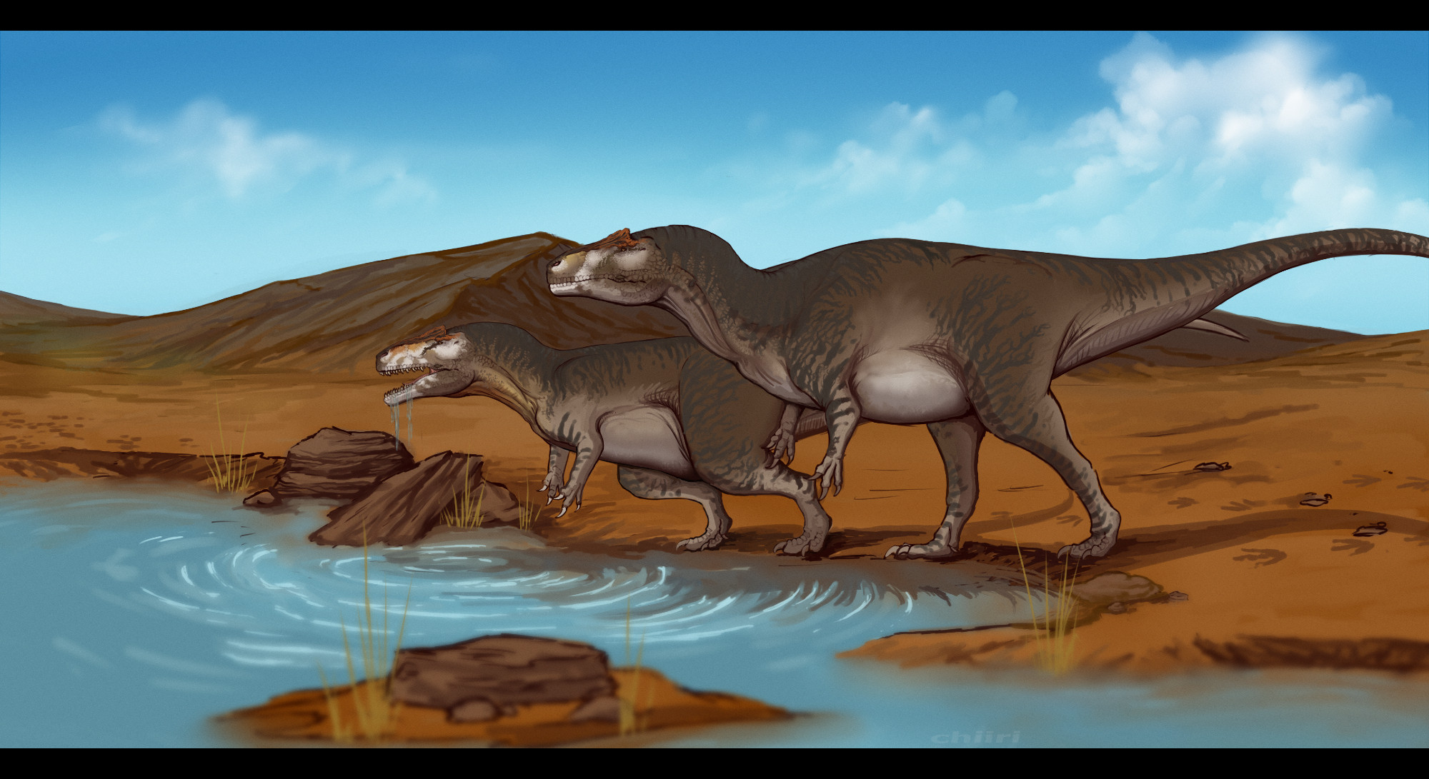 A pair of allosaurus at a pond in the desert, one is drinking.