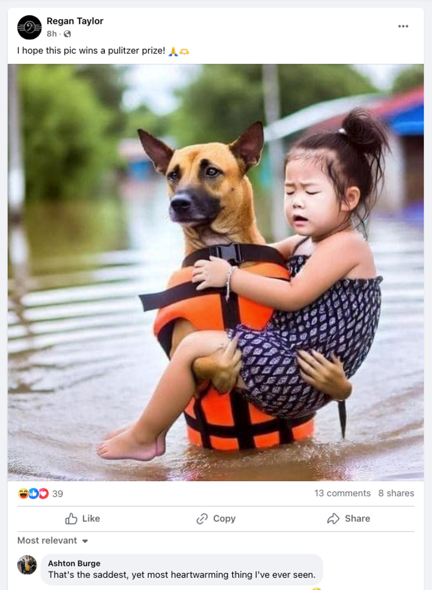 AI image of a dog in a lifejacket carrying a little girl through floodwaters with the caption "I hope this pic wins a pulitzer prize!"