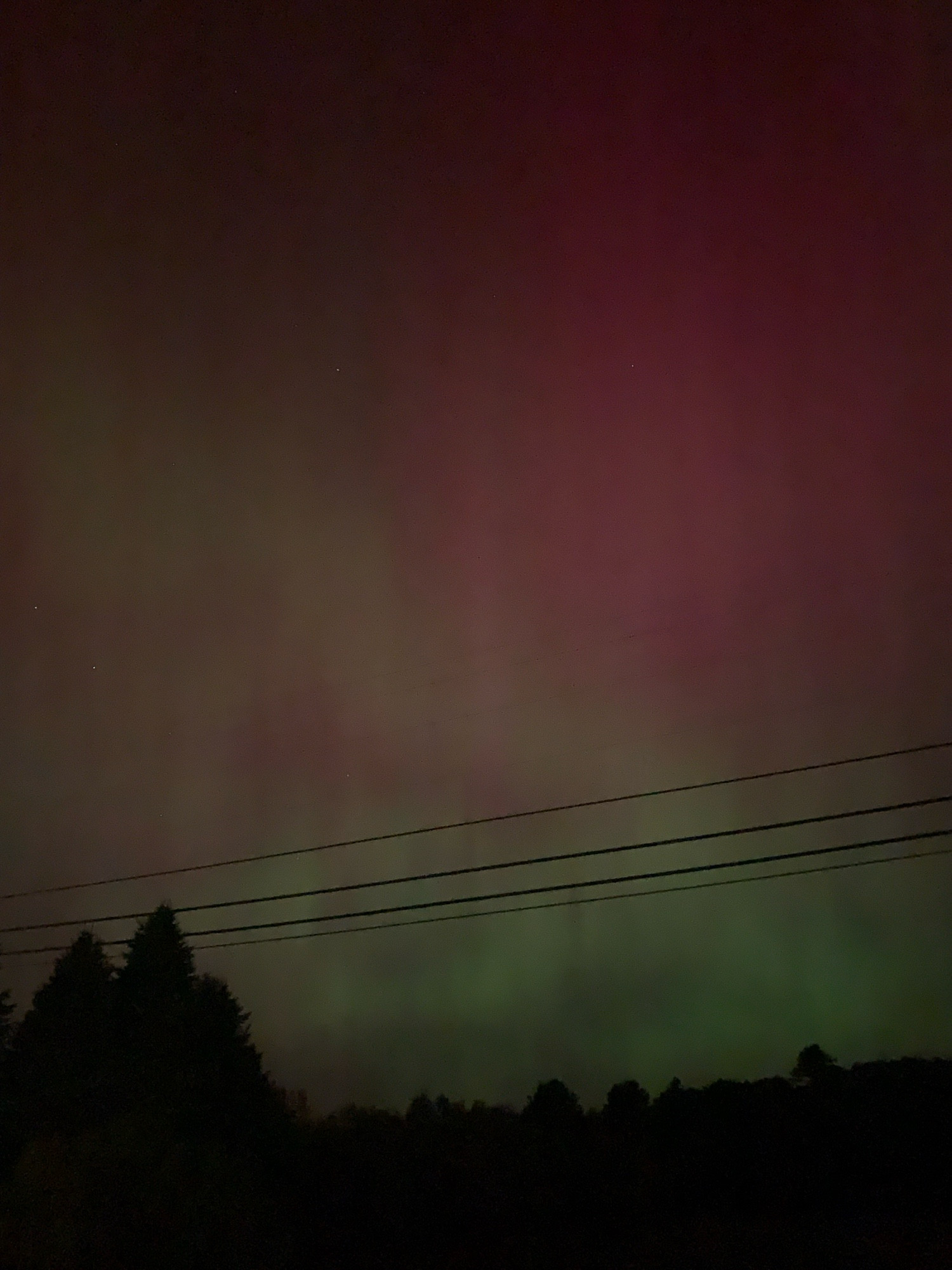 Photo of a dim red and green aurora hanging above some trees