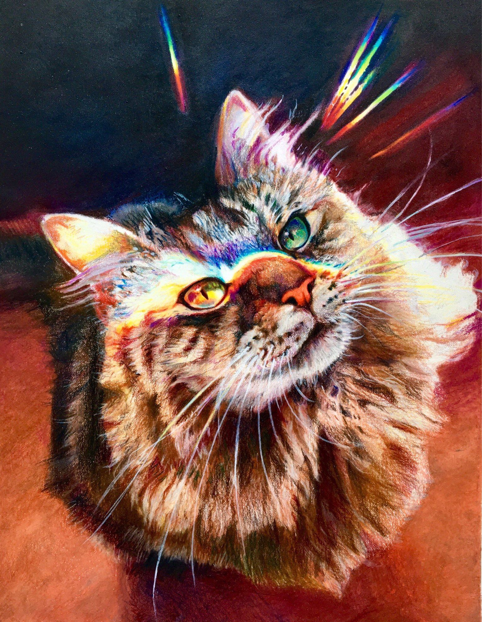 A portrait of a long haired cat rendered in colored pencil with a rainbow over her face and prismatic rainbow splinters abover her head.