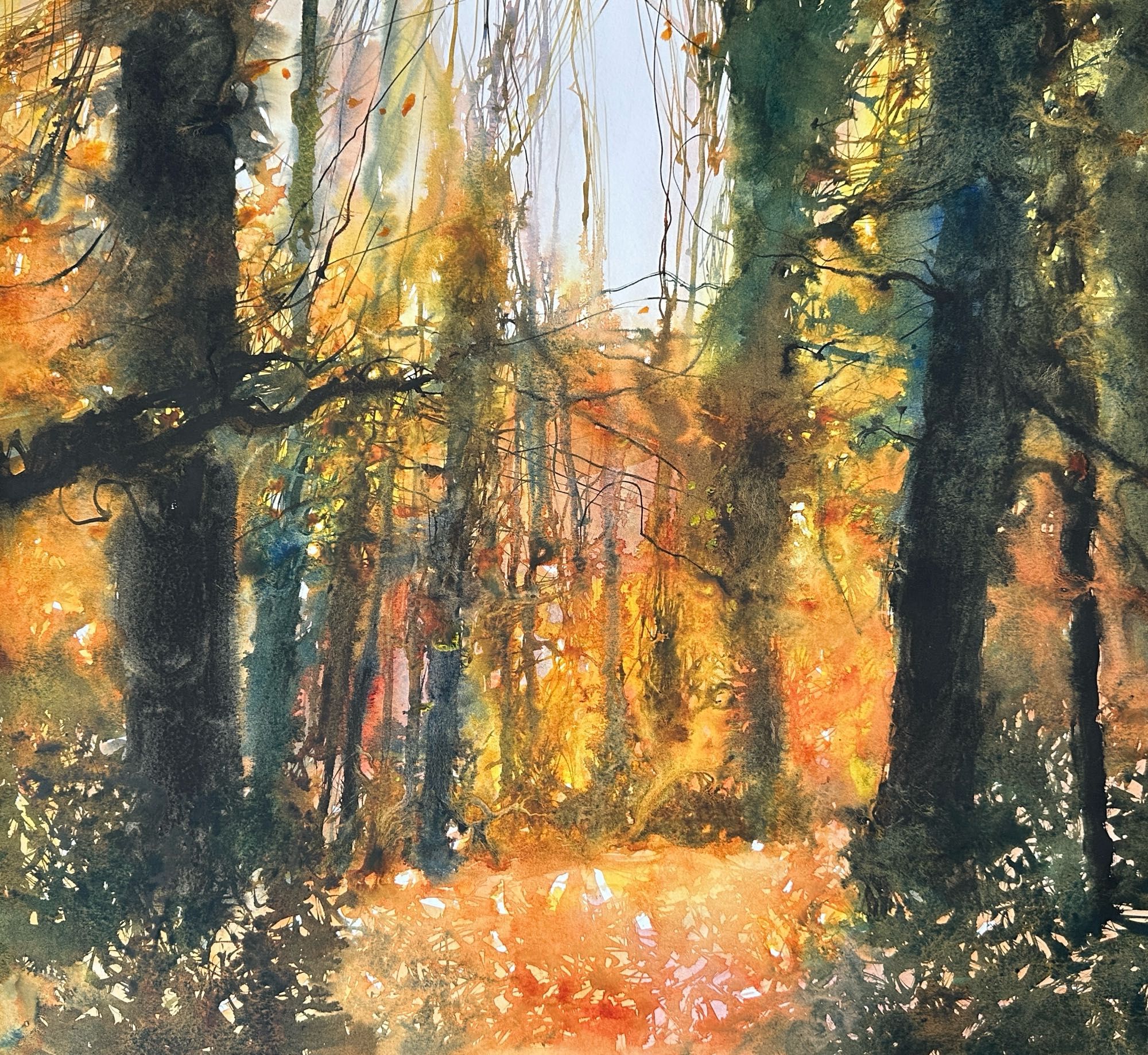 An overall yellow/orange painting with tall dark trees on either side of the image flanking a jumble of autumnal trees and fallen leaves in the middle.