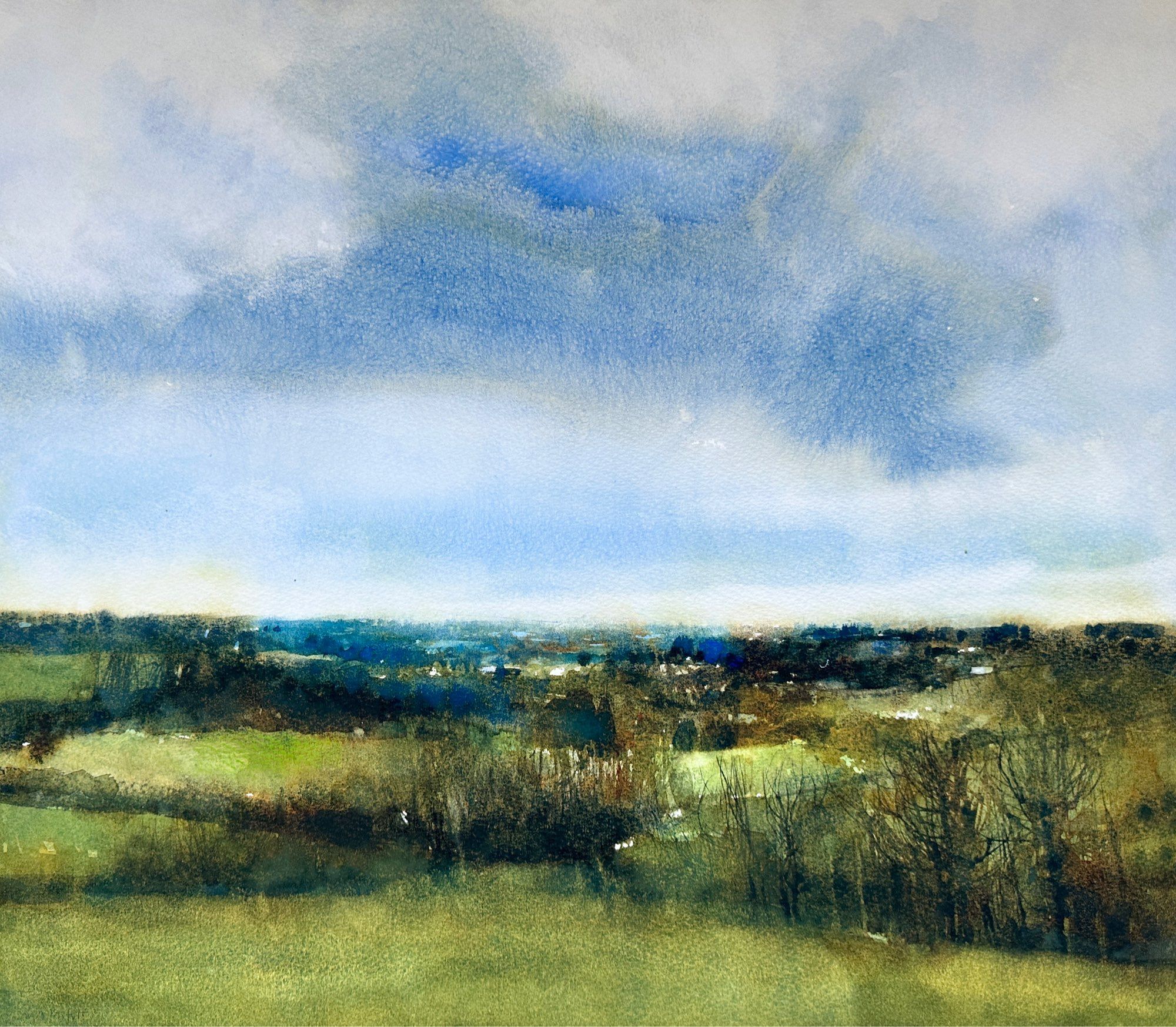 A landscape view on a cloudy day over green fields and  bare winter trees towards a blue distance.