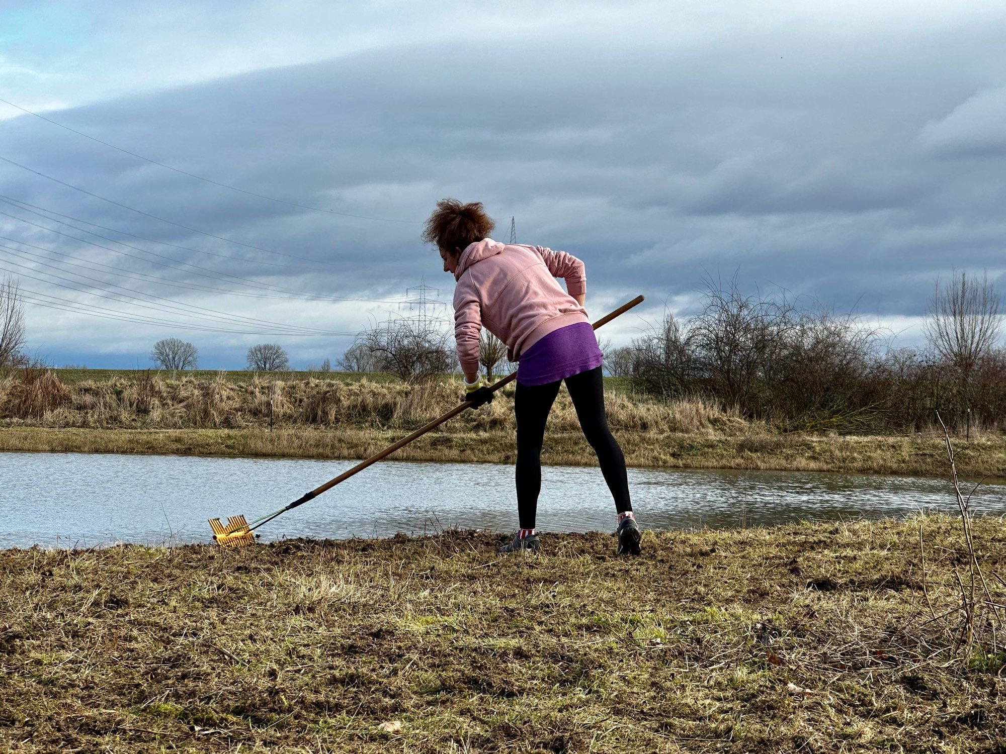 Volonteers prepare a meadow for breeding of lapwings