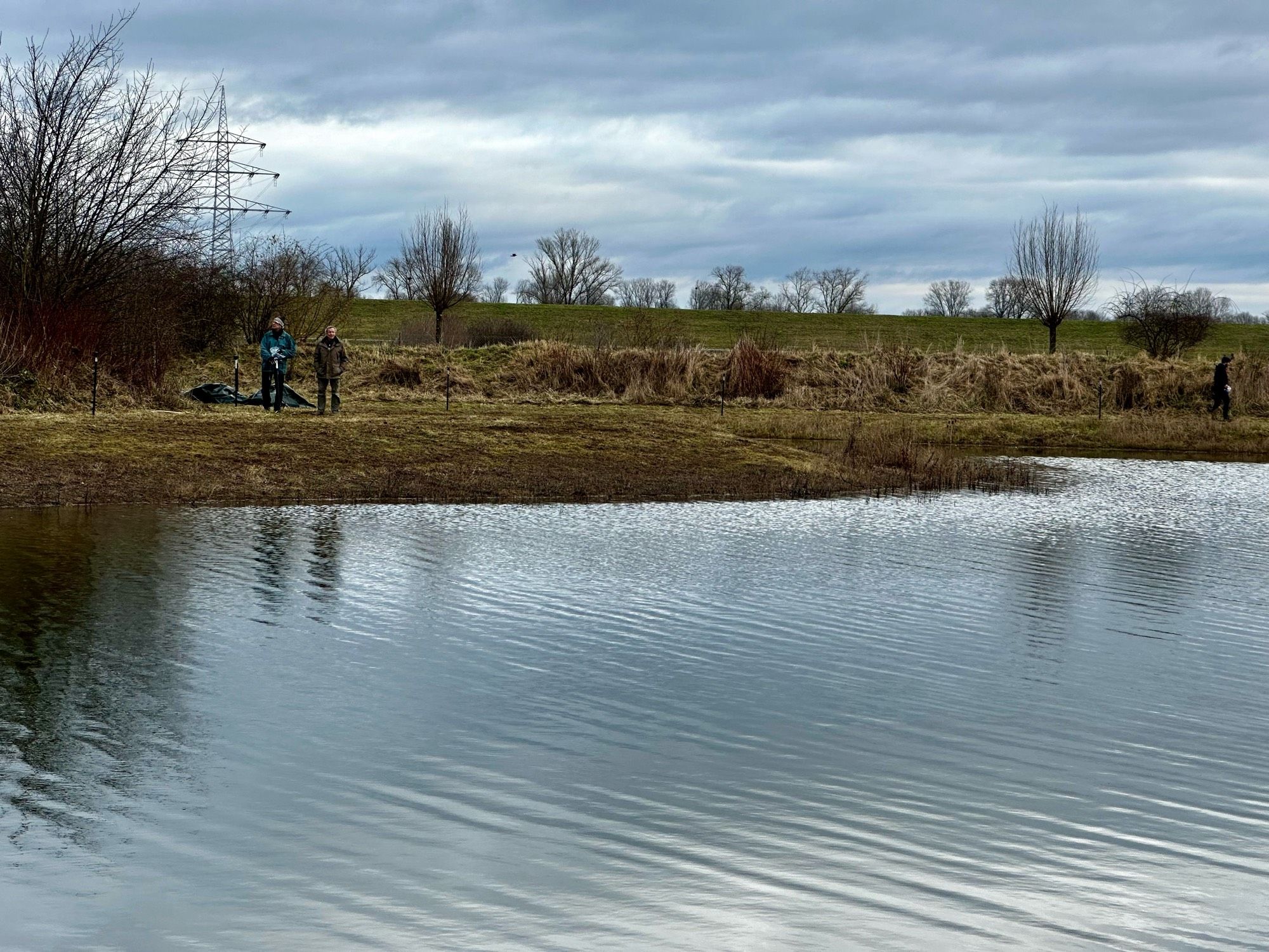 Volonteers prepare a meadow for breeding of lapwings