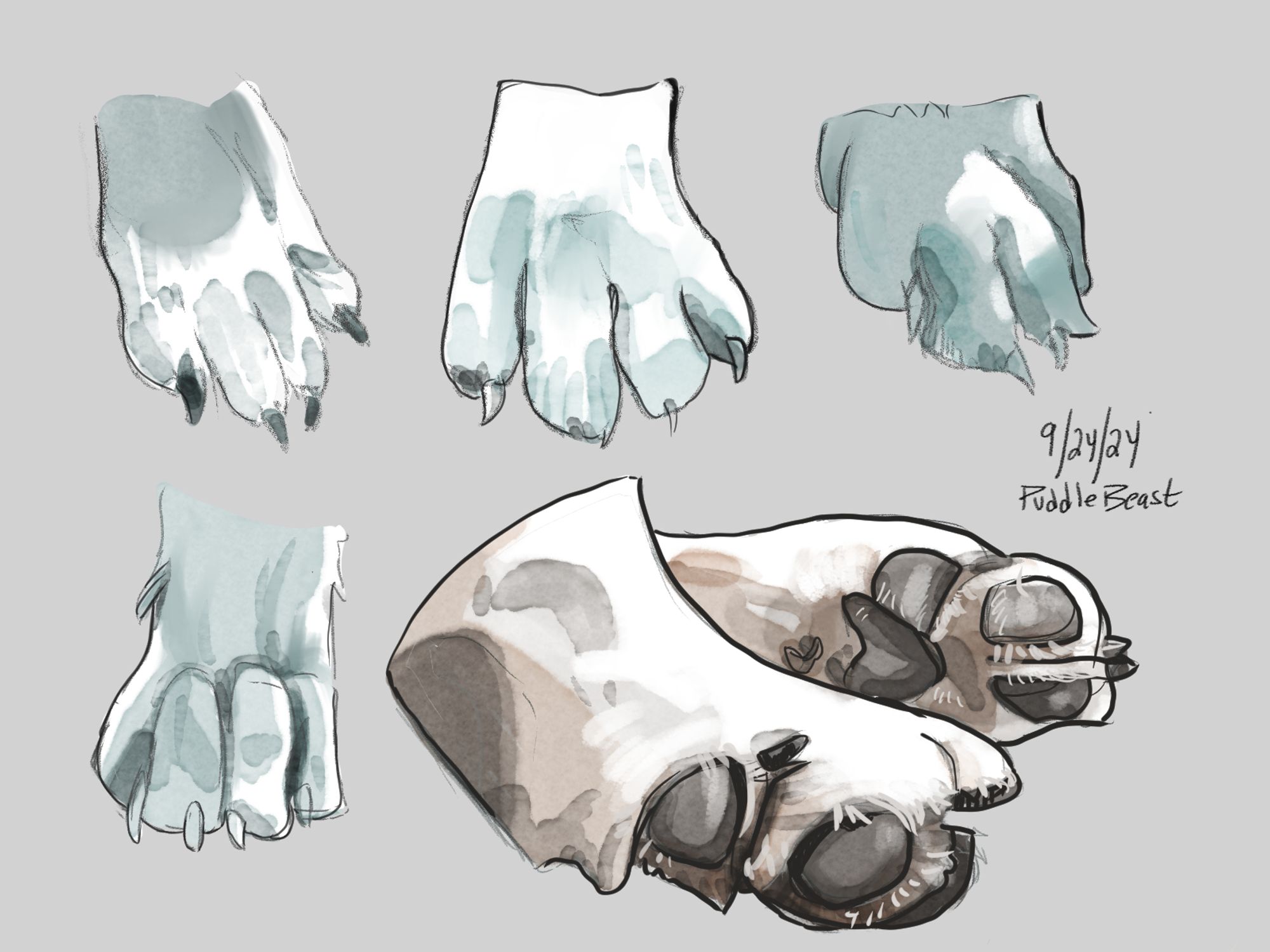 5 digital paintings of wolf or dog paws