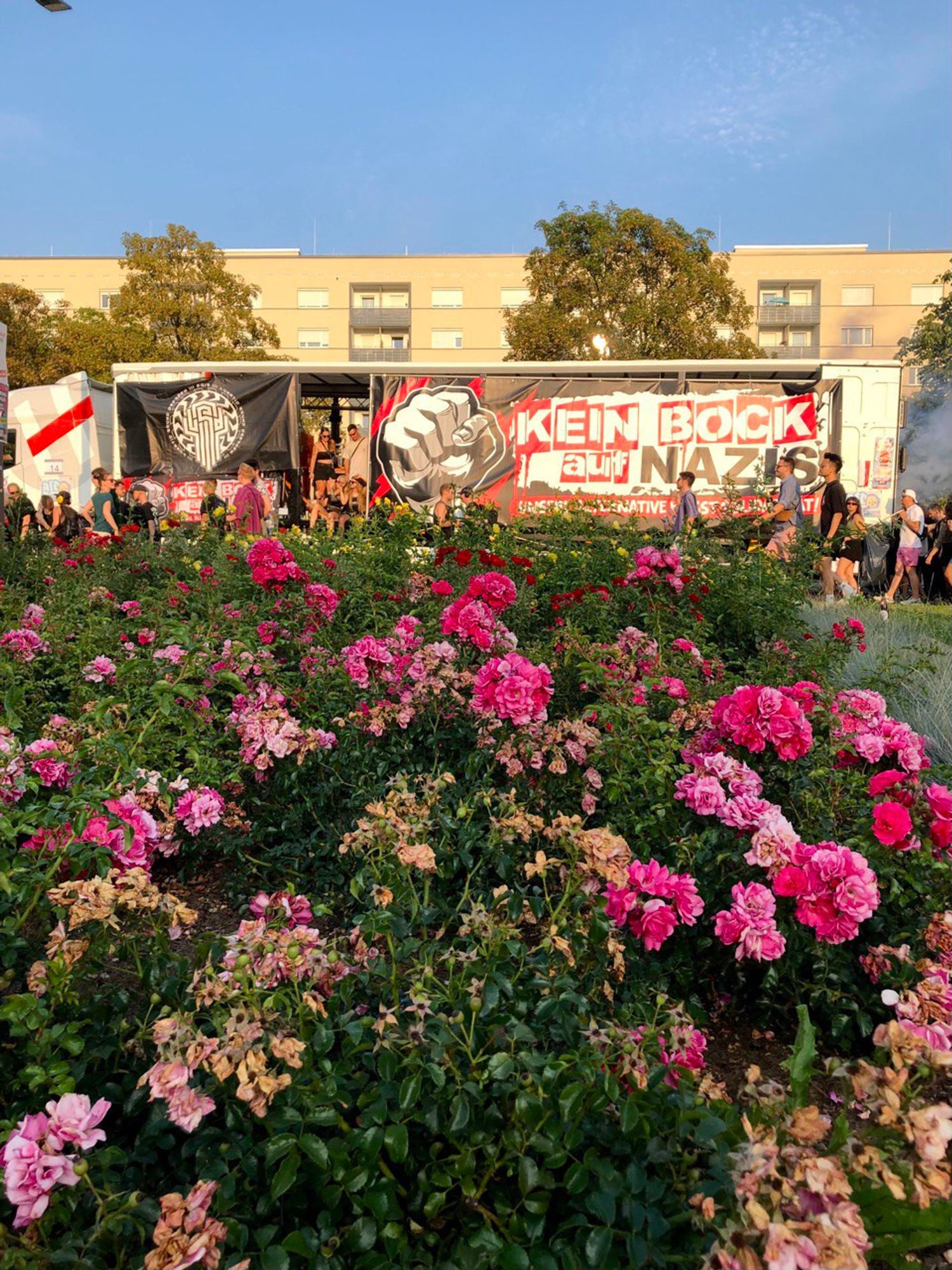 Im Vordergrund ein rosenbeet im Hintergrund ein LKW mit der Aufschrift Kein Bock auf Nazis. Menschen begleiten den LKW durch Dresden