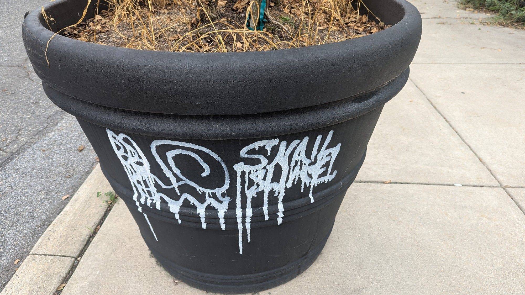 a municipal planter, black with white pen graffiti -- SNAIL SLIME! 🐌