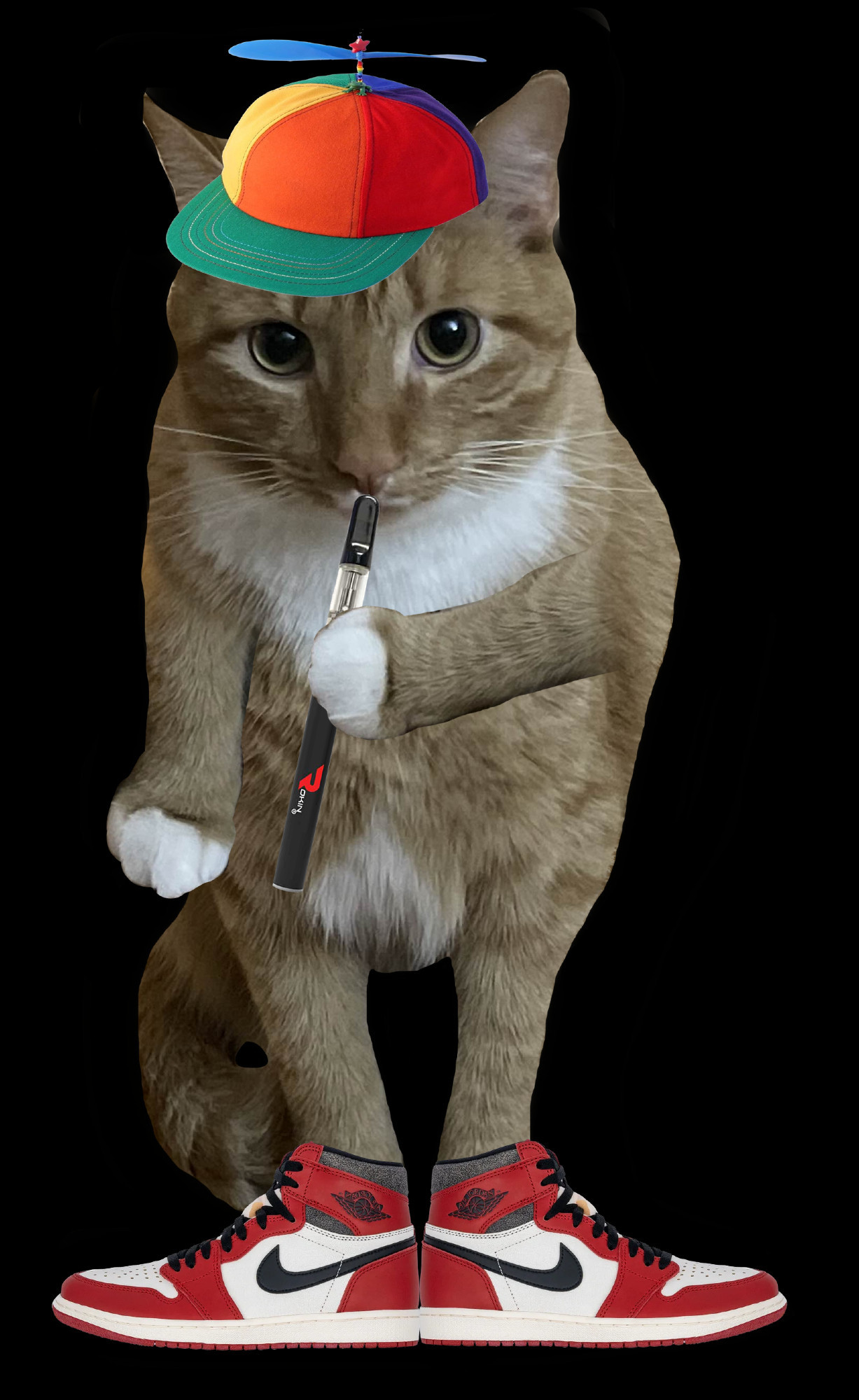 Afton, a silly orange cat, edited to be standing on two legs. He has a colorful propeller hat on his head and he is wearing Nike Air Jordans. He is also hitting a vape pen and staring at the viewer.