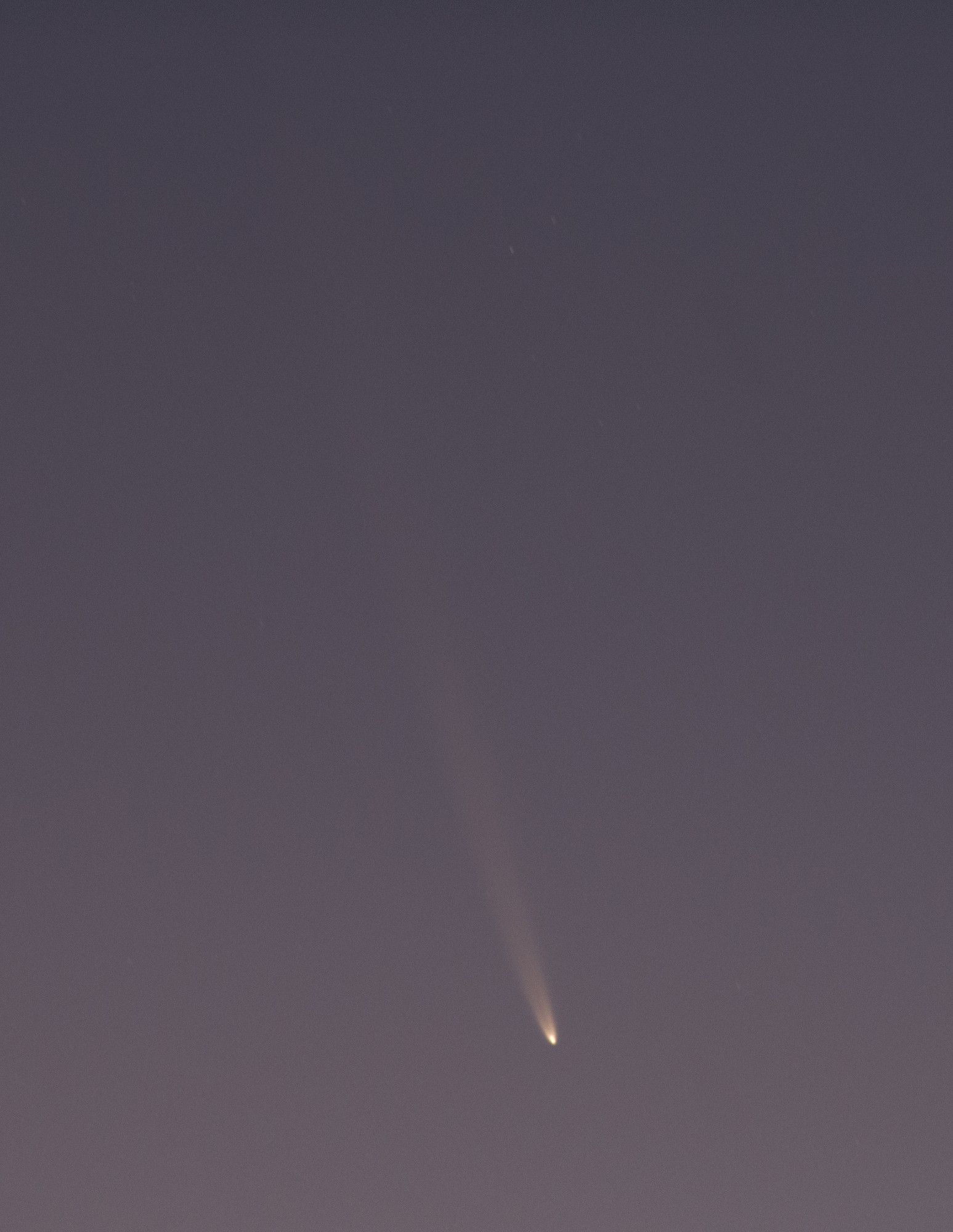 The bright nucleus of a comet is seen with a long extending tail centre frame.