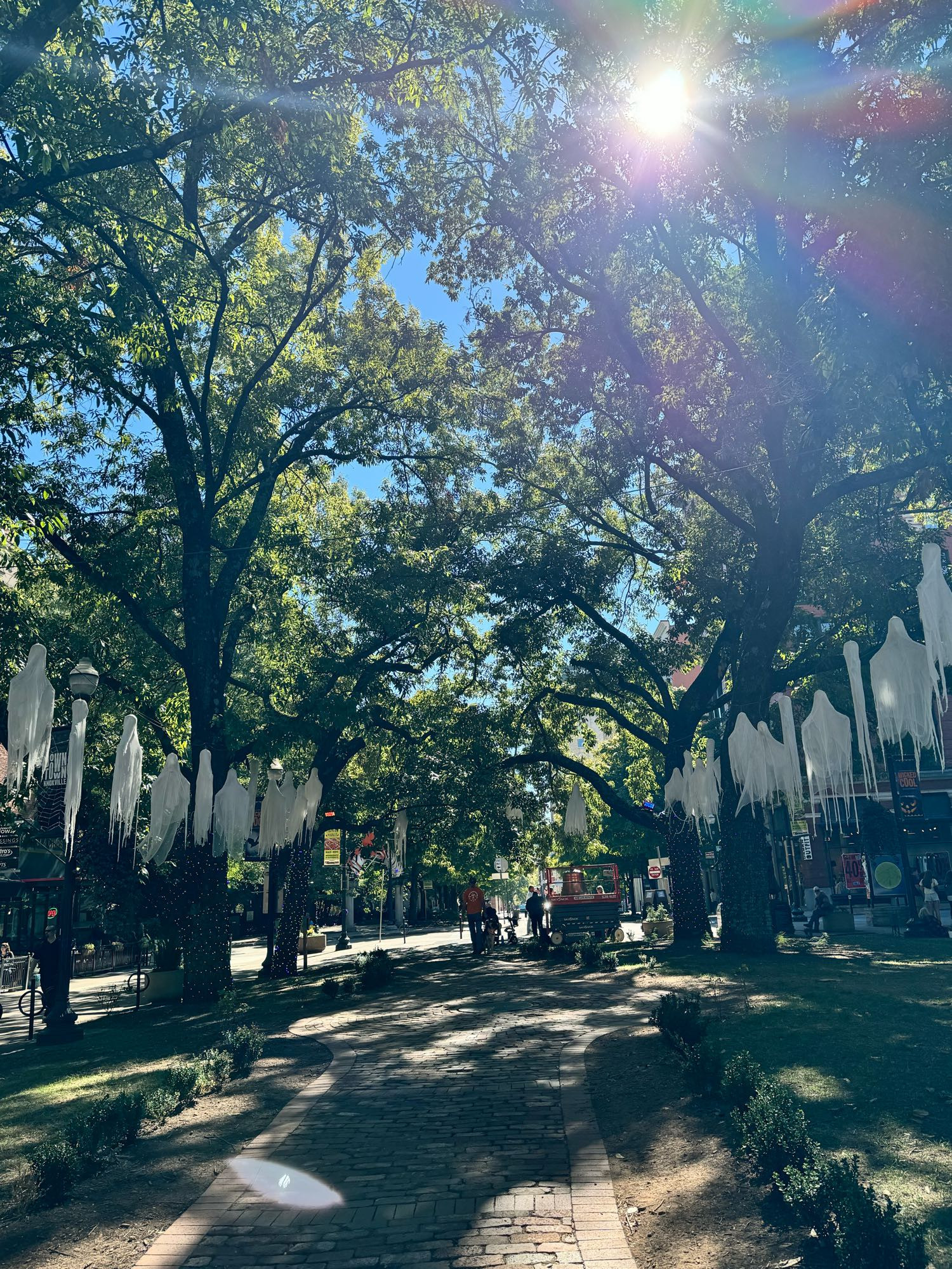 A path with many ghosts hanging from trees. Spooooooooky. 