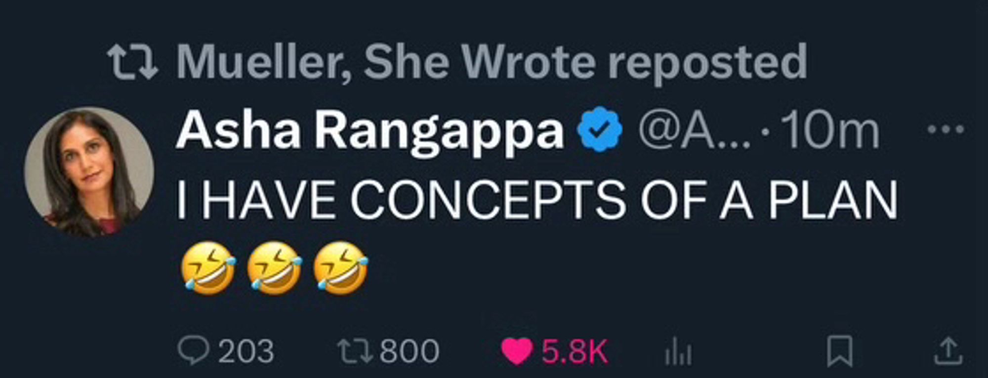 Screen capture of a tweet from Asha Rangappa: “I HAVE CONCEPTS OF A PLAN,” quoting former President Donald Trump when asked what his plan was for replacing the Affordable Care Act