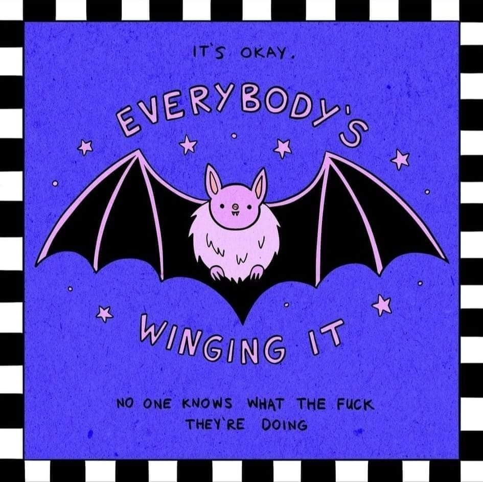 BAT IMAGE
Reads: "it's okay. everybody's winging it. no one knows what the fuck they're doing."