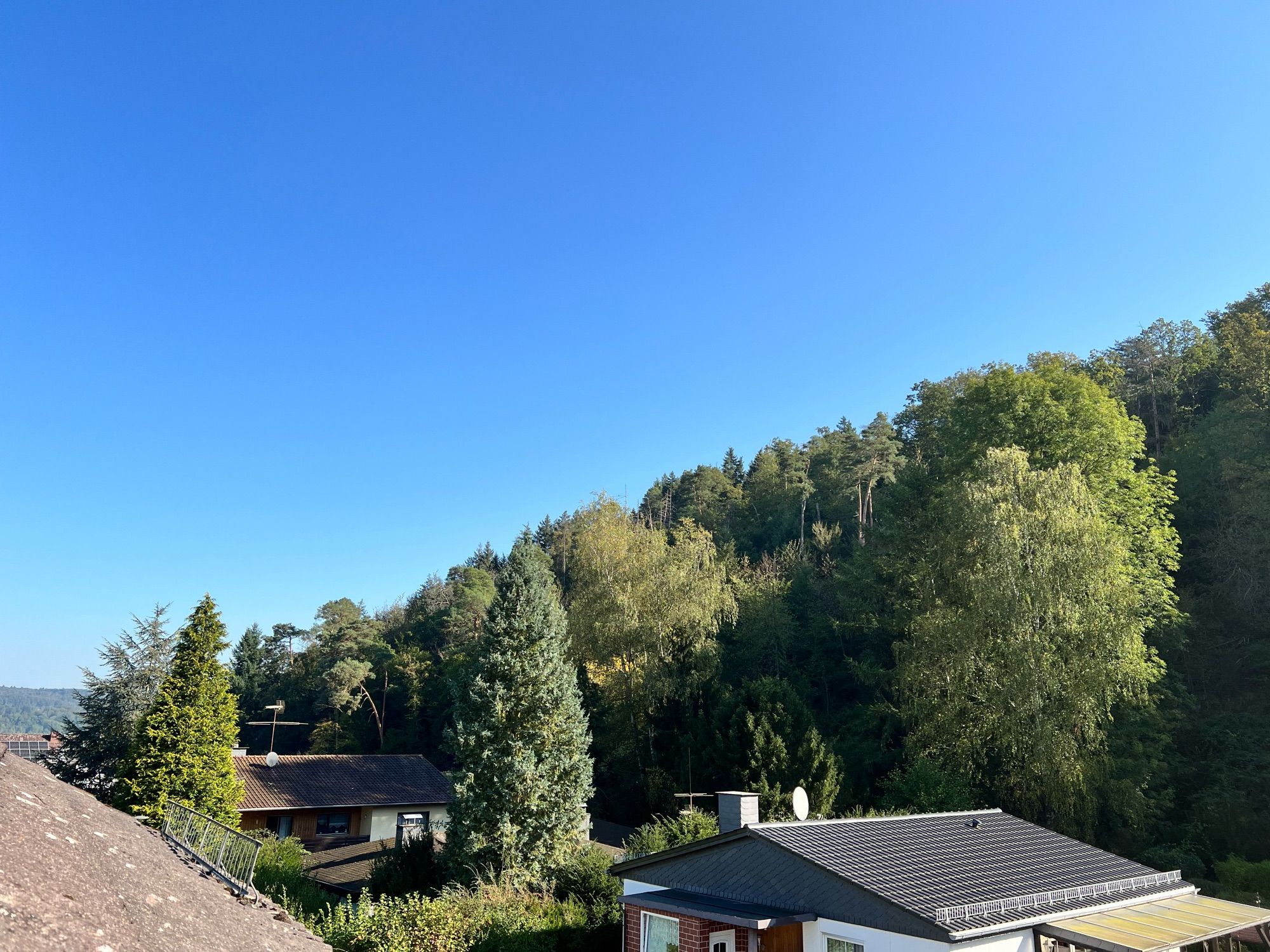 Blick aus dem Küchenfenster beim Kaffee machen. Viel Wald mit Nadel und Laubbäumen, am unteren Rand das Dach eines Einfamilienhauses und in der oberen Hälfte strahlend blauer Himmel.