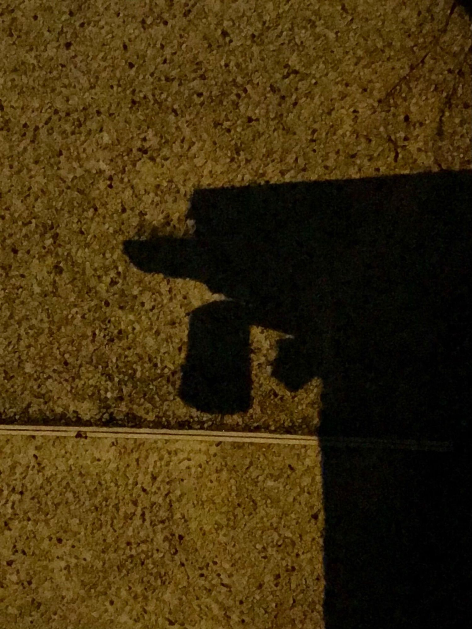 Ein Schatten.