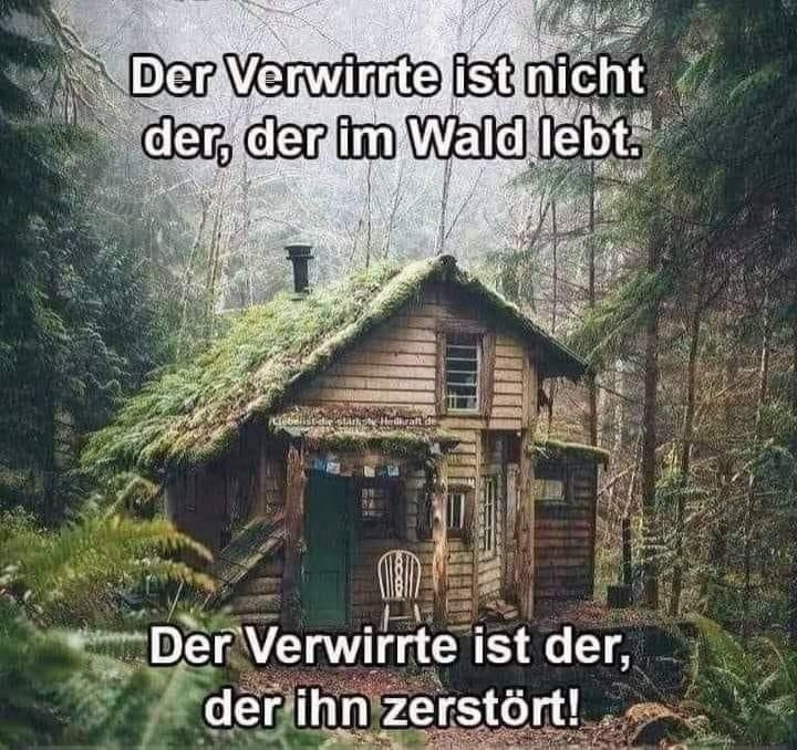 Der Verwirrte ist nicht der, der im Wald lebt.
Der Verwirrte ist der, der ihn zerstört!