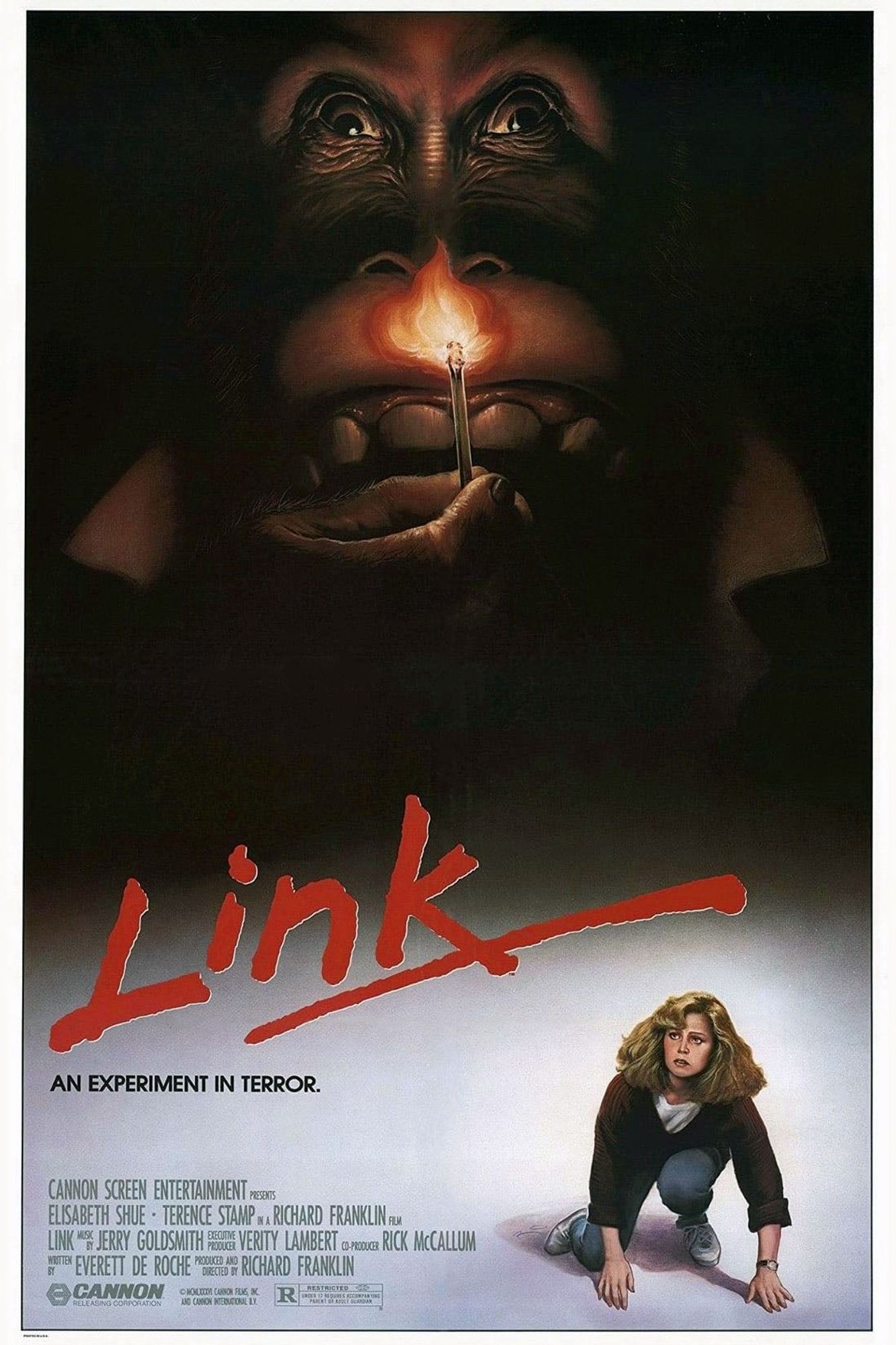 Affiche américaine de « Link »