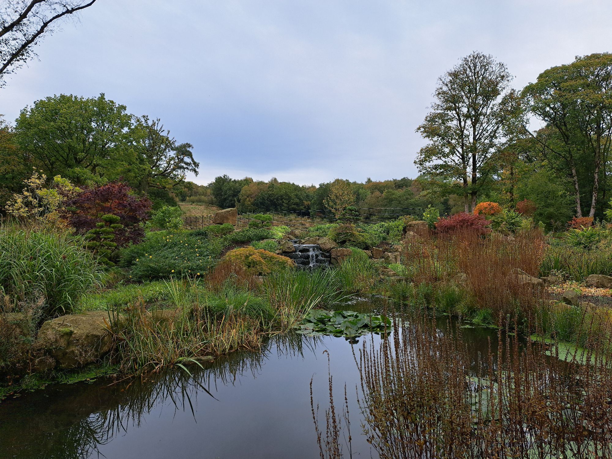 Waterfall in Chinese garden at RHS Bridgewater 