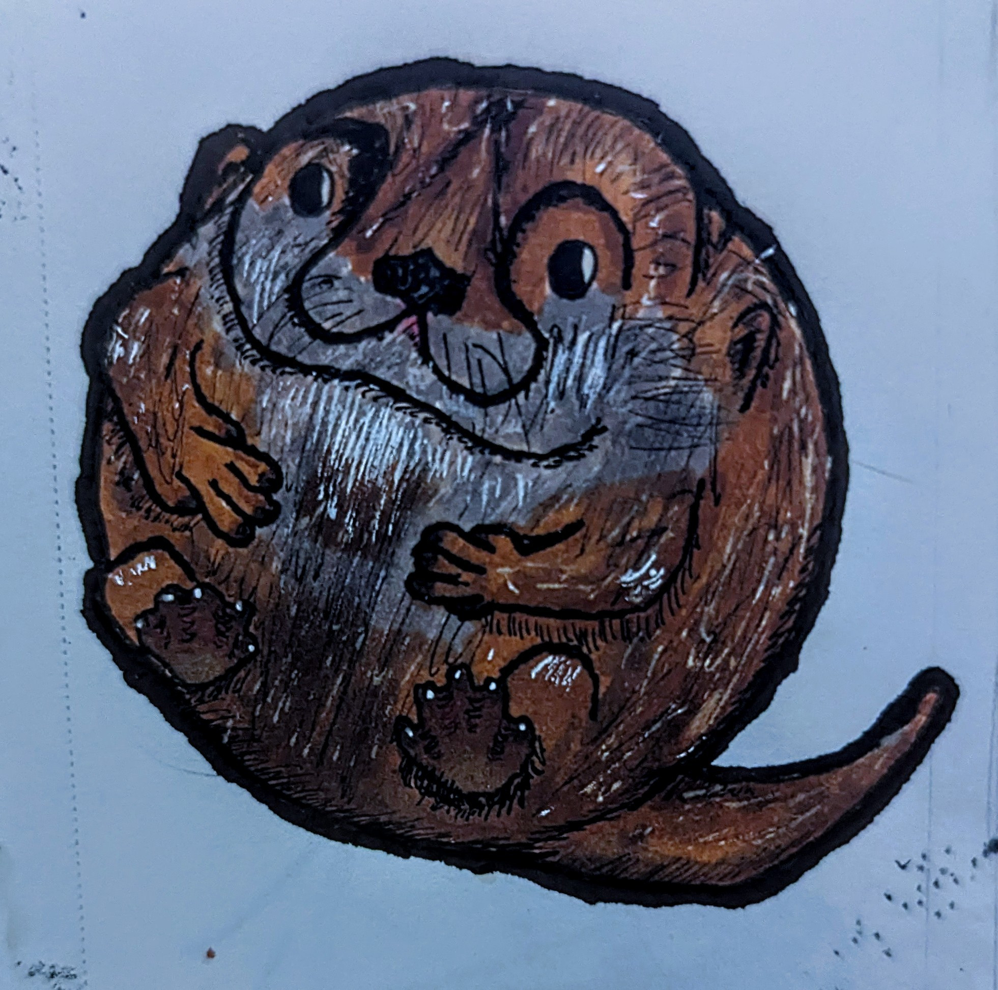 Round otter doodle