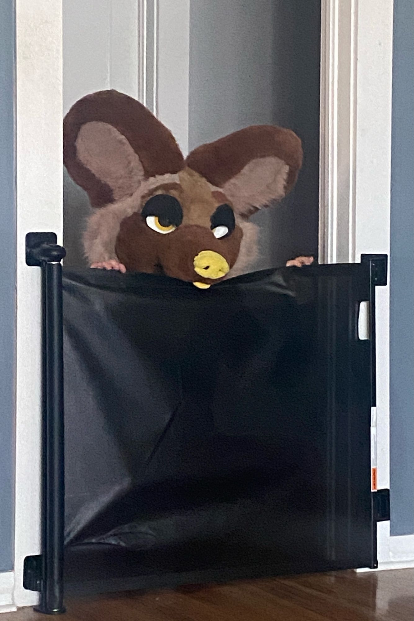 a person in an african wild dog fursuit locked behind a doggy gate