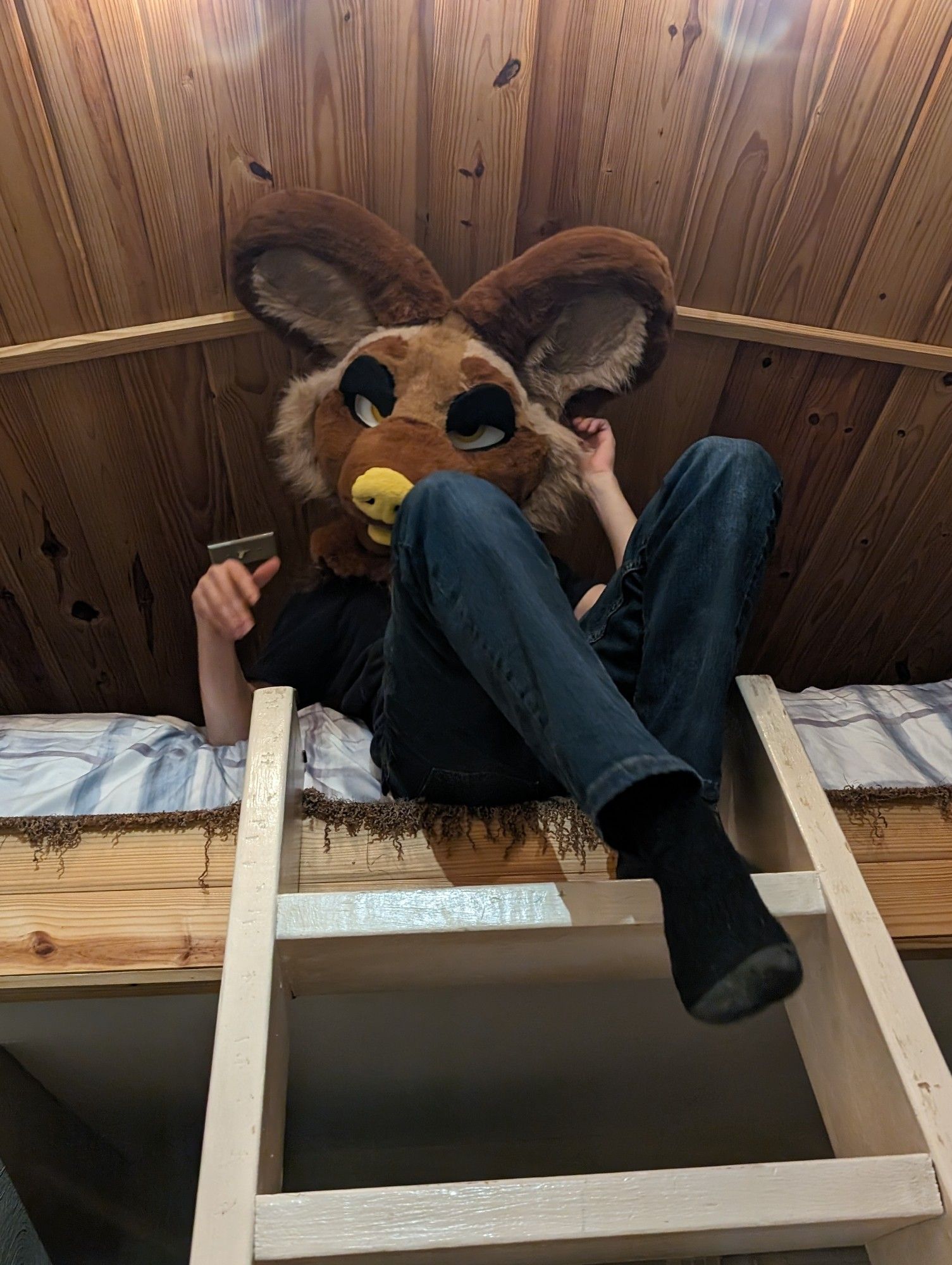 A person wearing a fursuit head of an African Wild Dog that's brown all over with yellow nose and tongue, during on top of a loft, with the ladder below them.