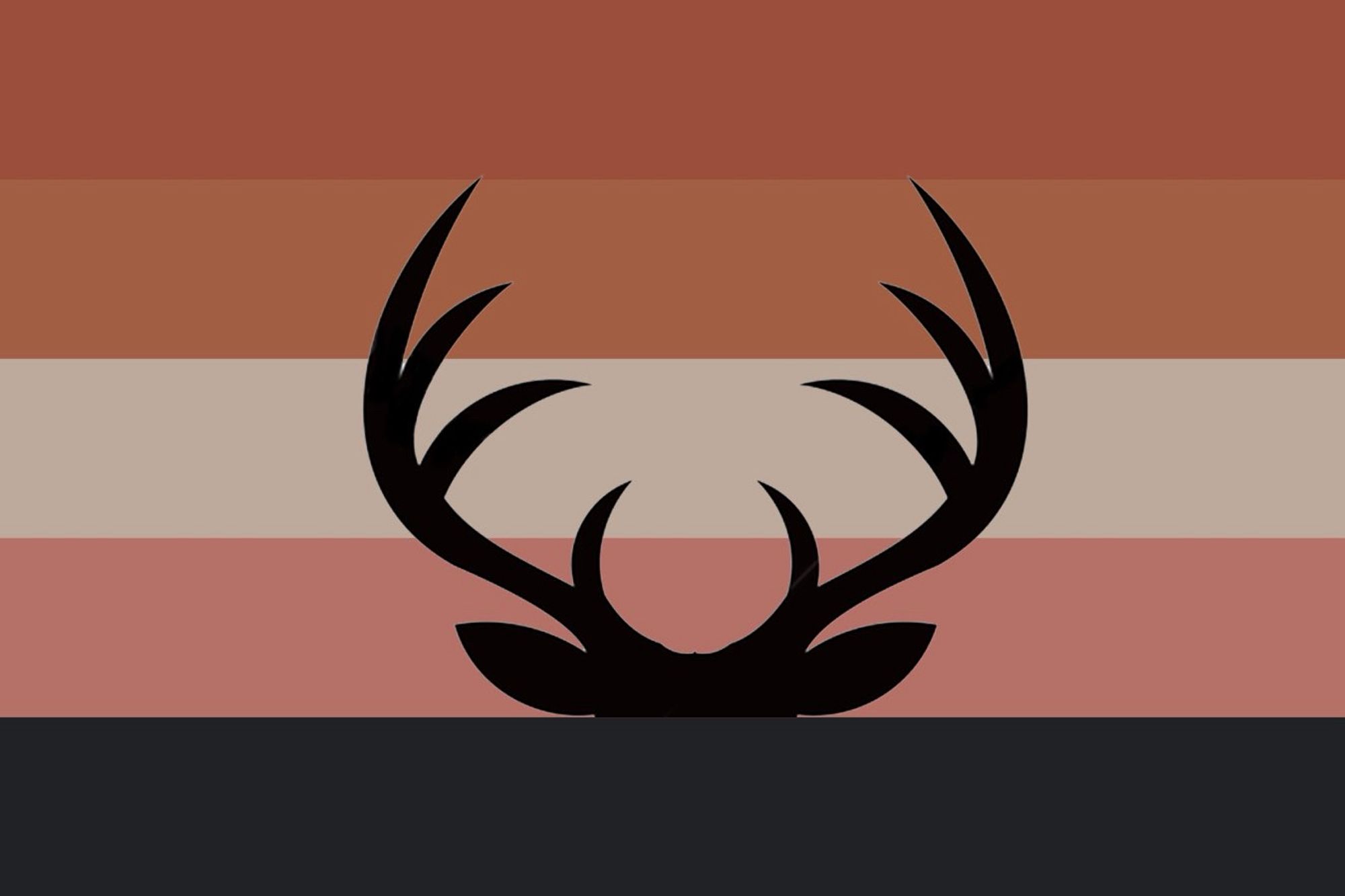 a flag with a black silhouettes deer head in front of 5 bars, each being one of bambis main colours, i know ronno is hotter but everyone knows bambi xP