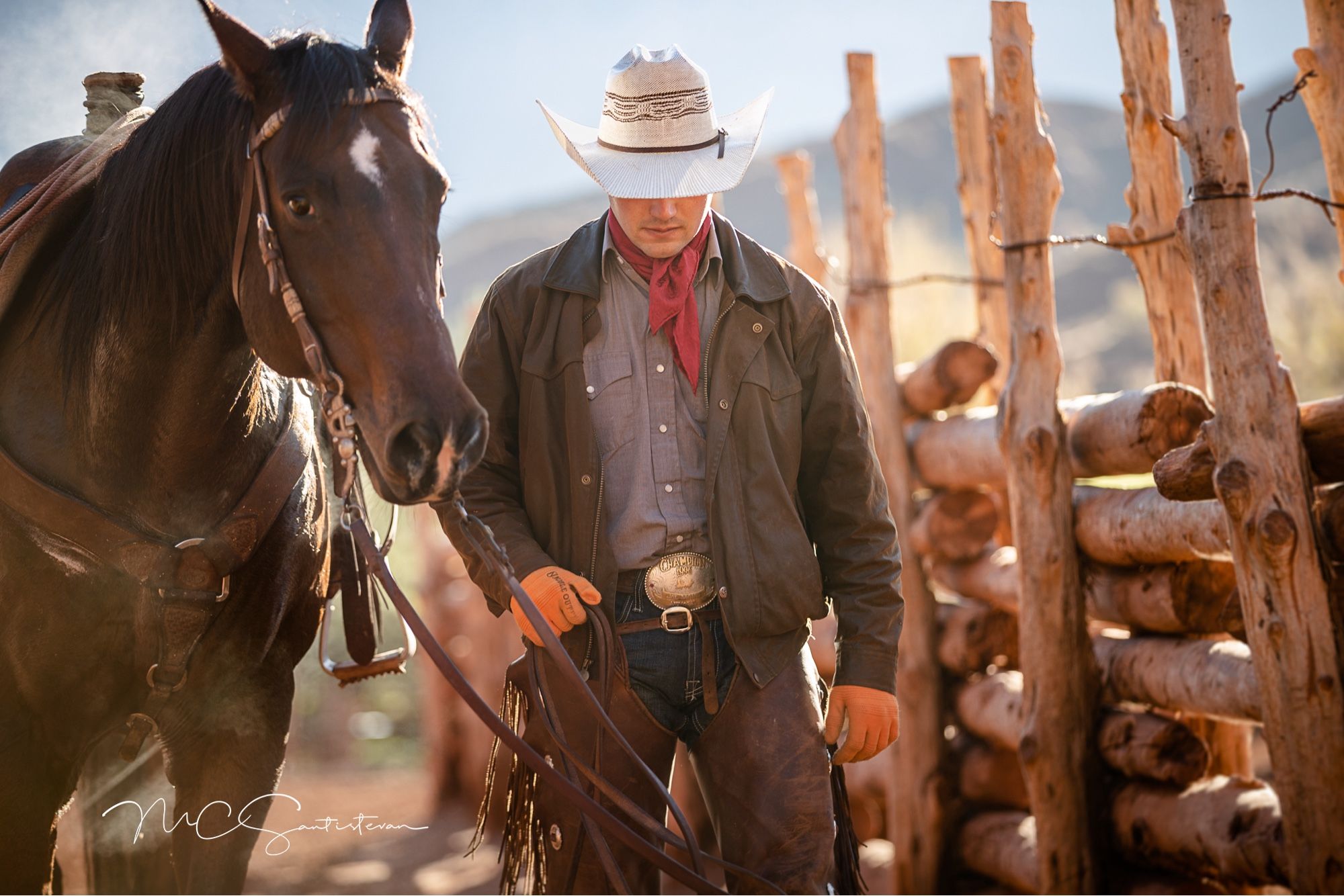 horse wrangler in white hat, red kerchief, and chaps leading a brown horse alongside a wooden corral