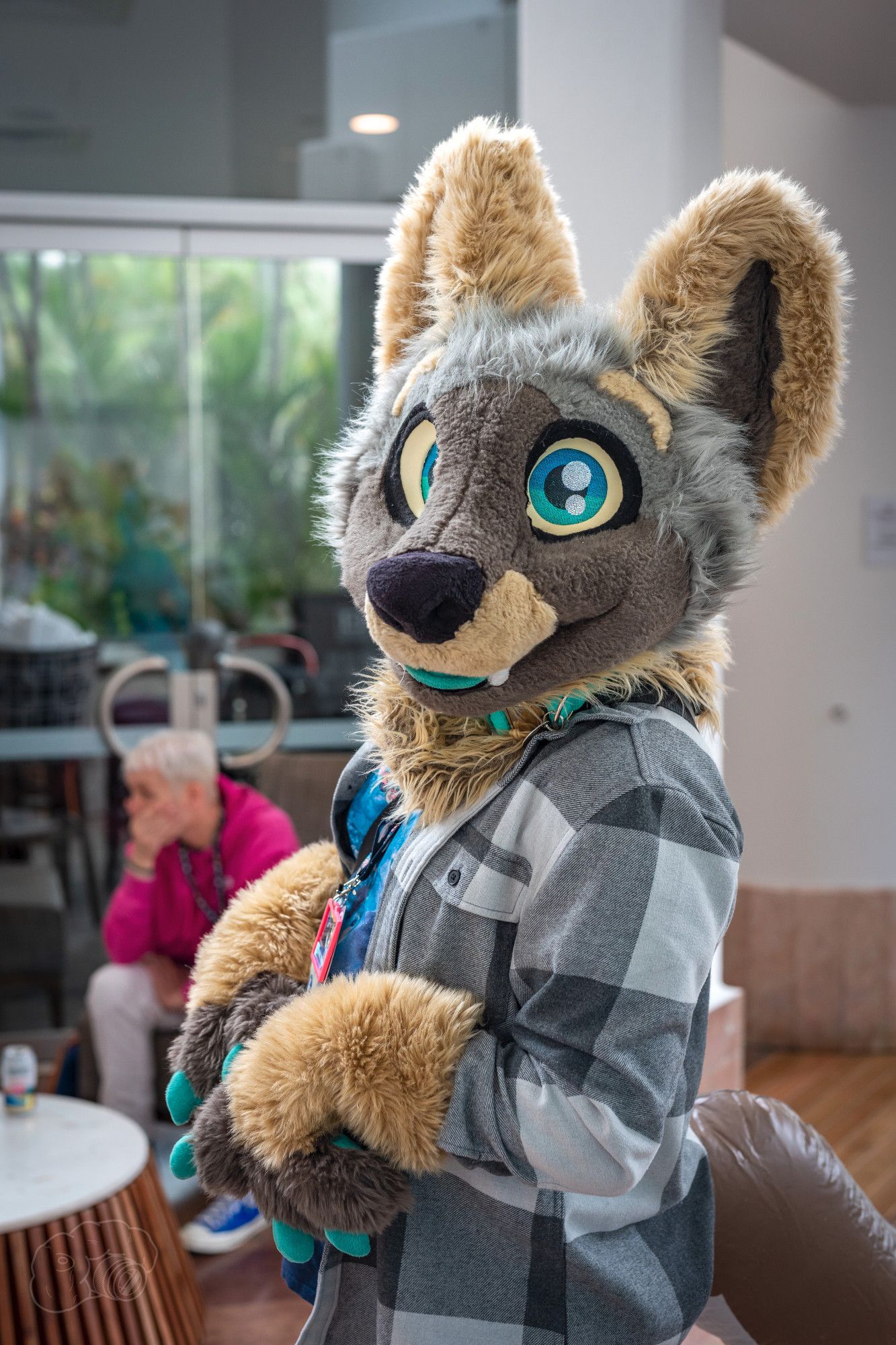 Photo of wolf fursuiter with paws raised like a begging motion, with body facing left and head turned towards the camera