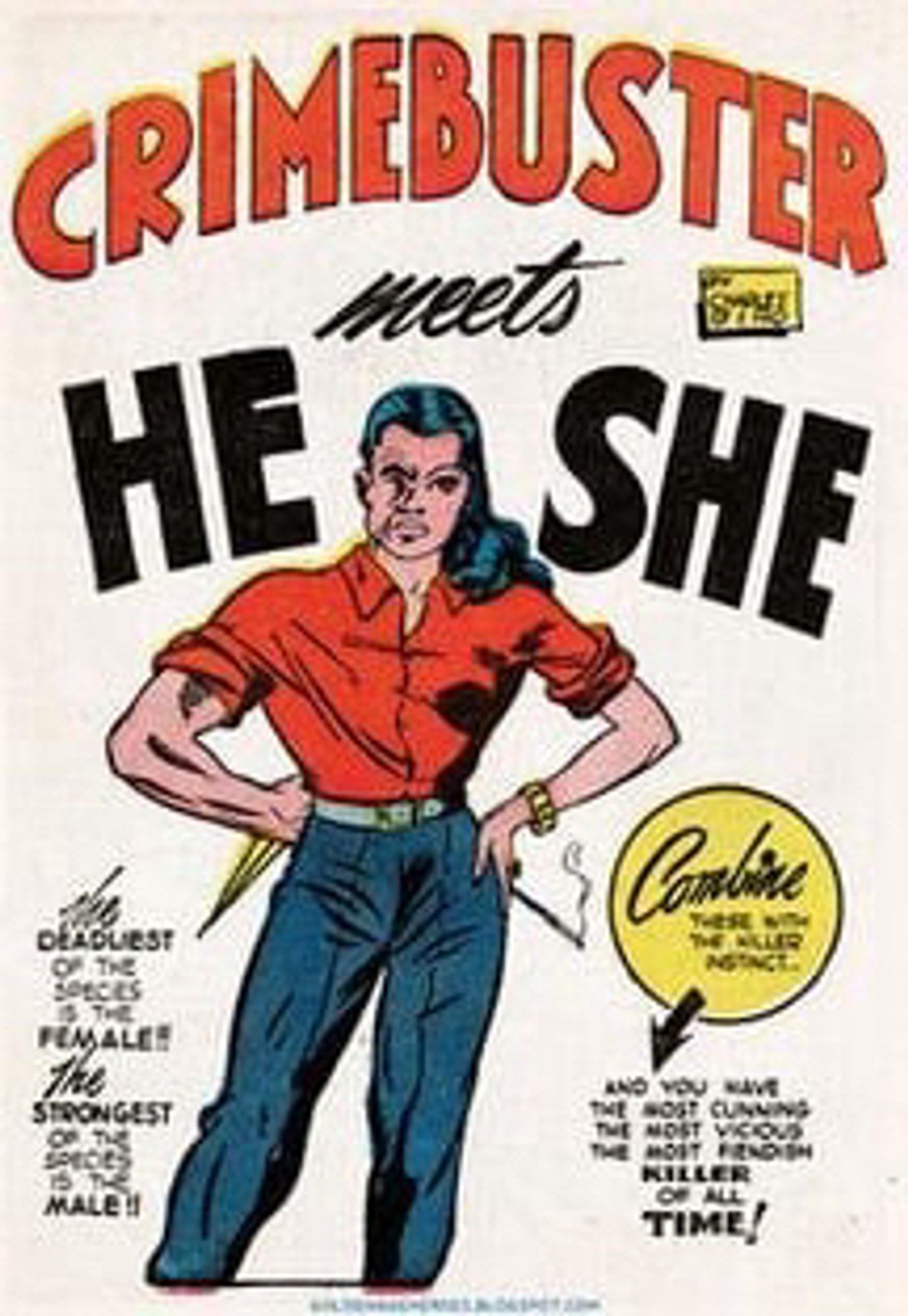 Golden age dc superhero comic page called “crimebuster he meets she”. Imagine if two face was half man half woman.