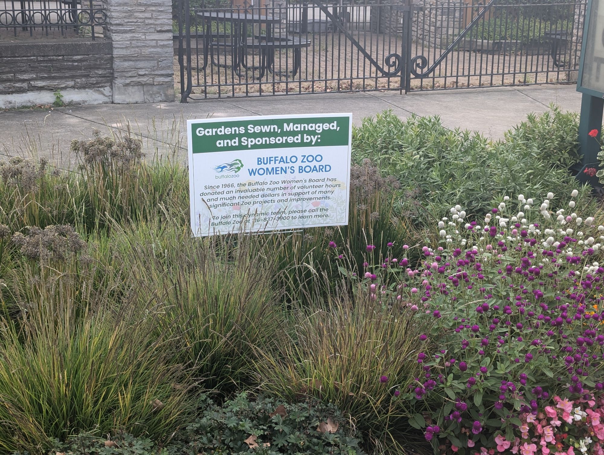 A sign is in the middle of a planted garden bed in front of a wrought iron fence. The egg corn at top reads: "GARDENS S E W N, MANAGED, AND SPONSORED BY:"