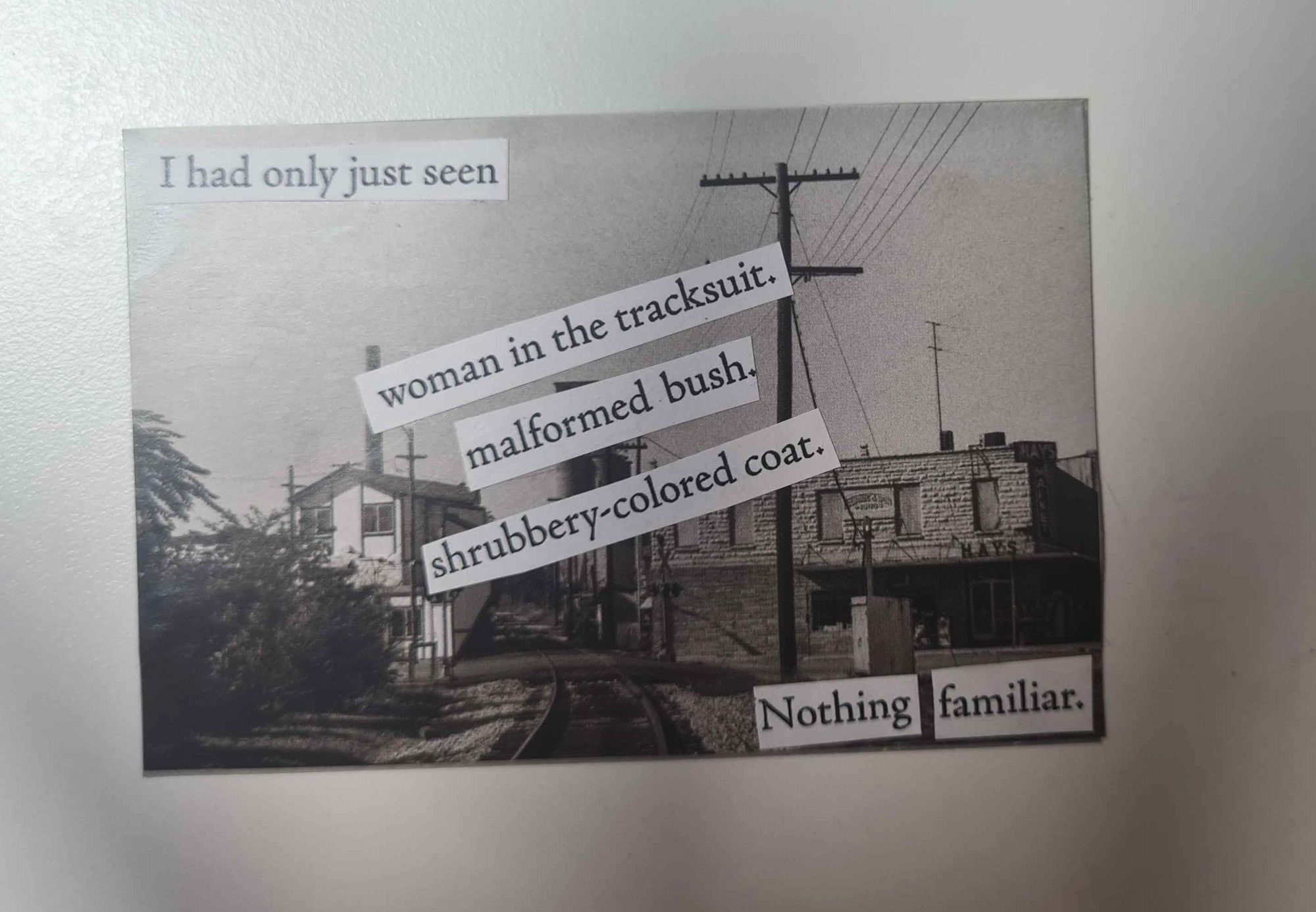 A found poetry on a black & white photo of houses by the railroad. The poem reads: "I had only just seen // woman in the tracksuit. / malformed bush. / shrubbery-colored coat.// Nothing familiar." 