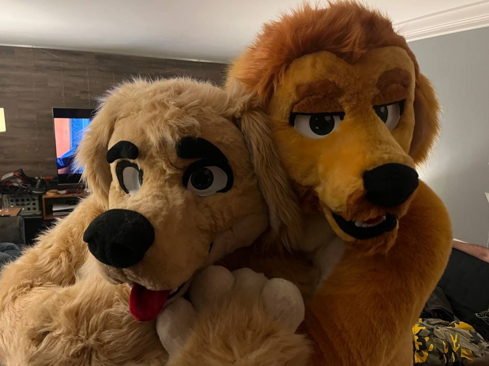 Fursuit photo