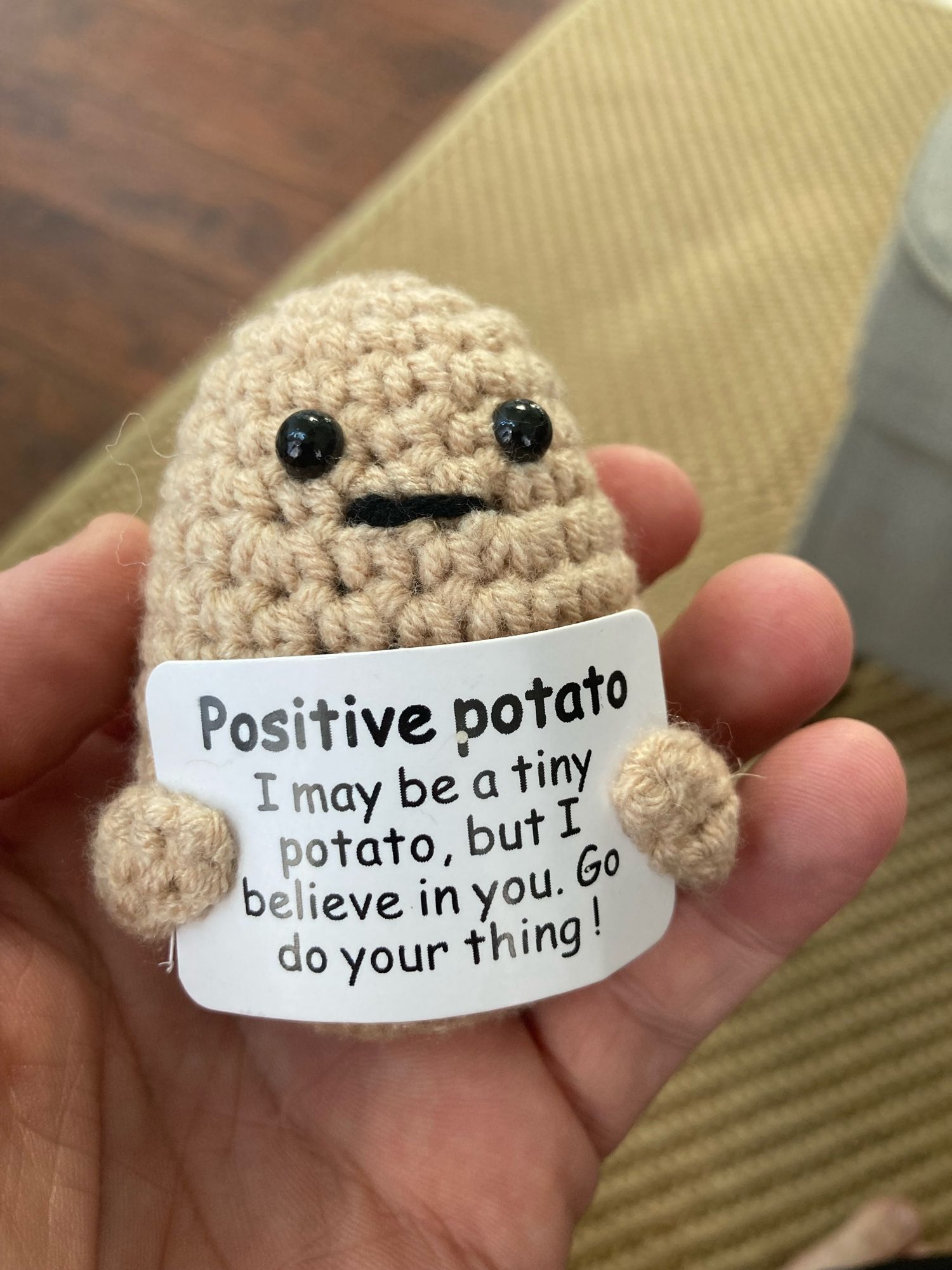 Crocheted Positive Potato holding a sign that reads “I may be a tiny potato, but I believe in you. Go do your thing!”