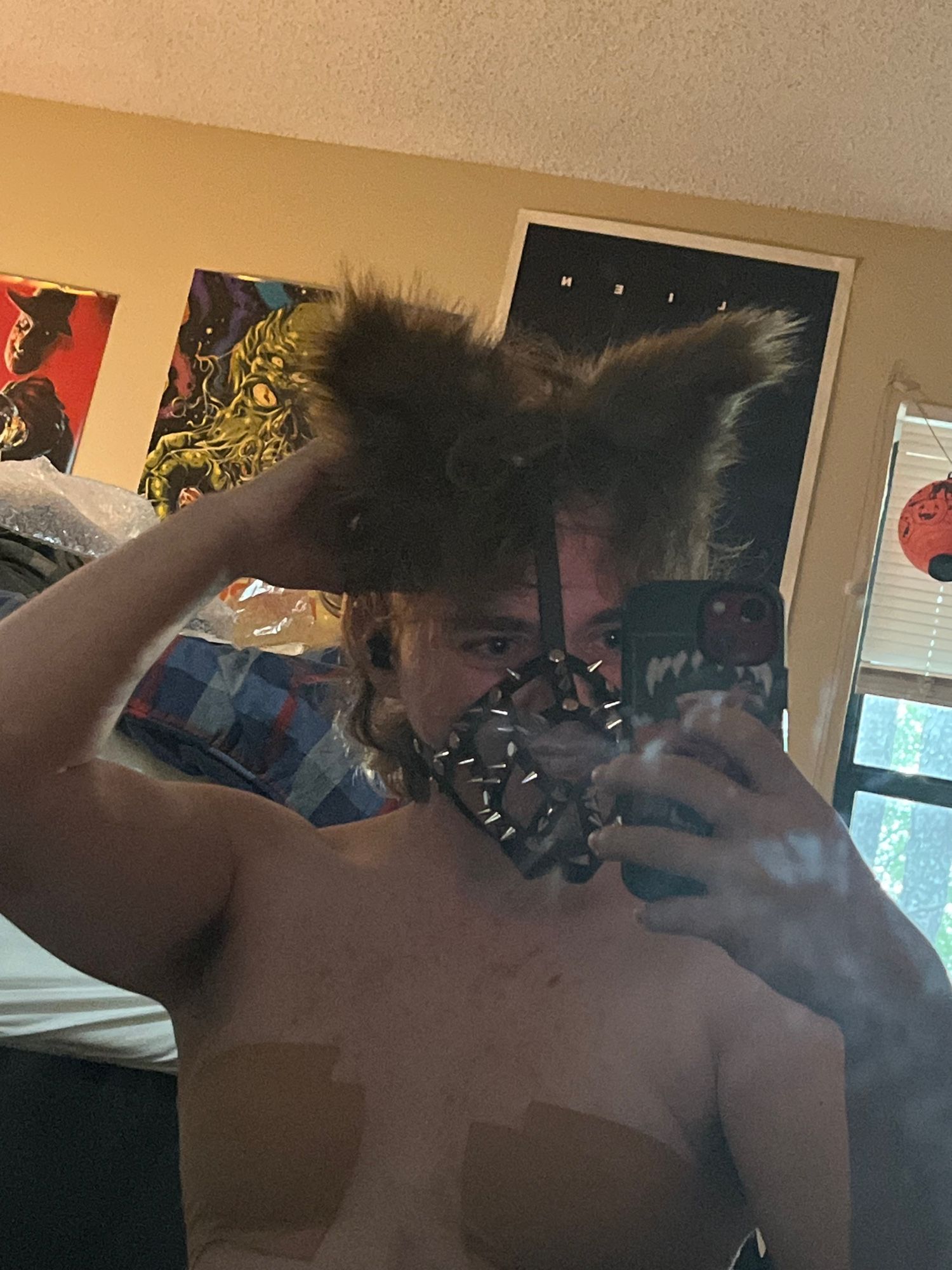 a coyote manthing in a spiked leather muzzle