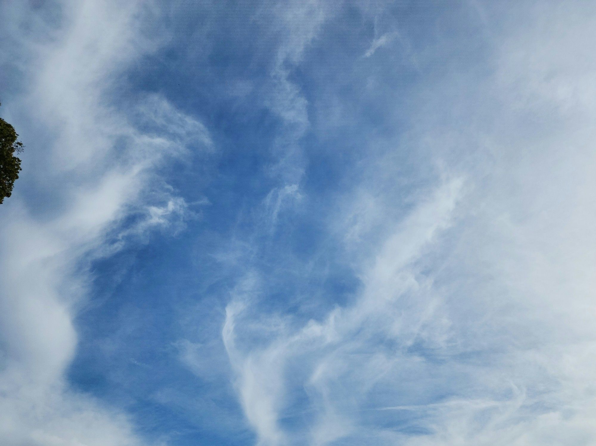 Cirrus clouds moving in overhead signifying incoming precipitation